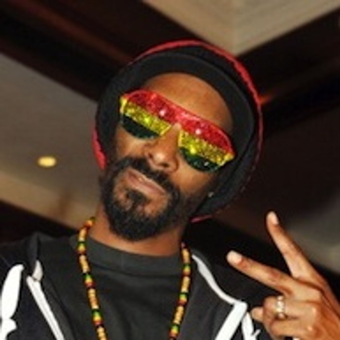 The artist formerly known as Snoop Dogg episode artwork