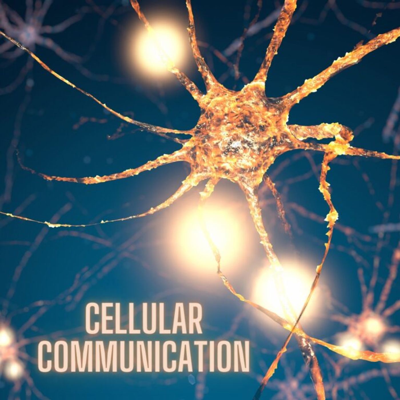 Cellular Communication