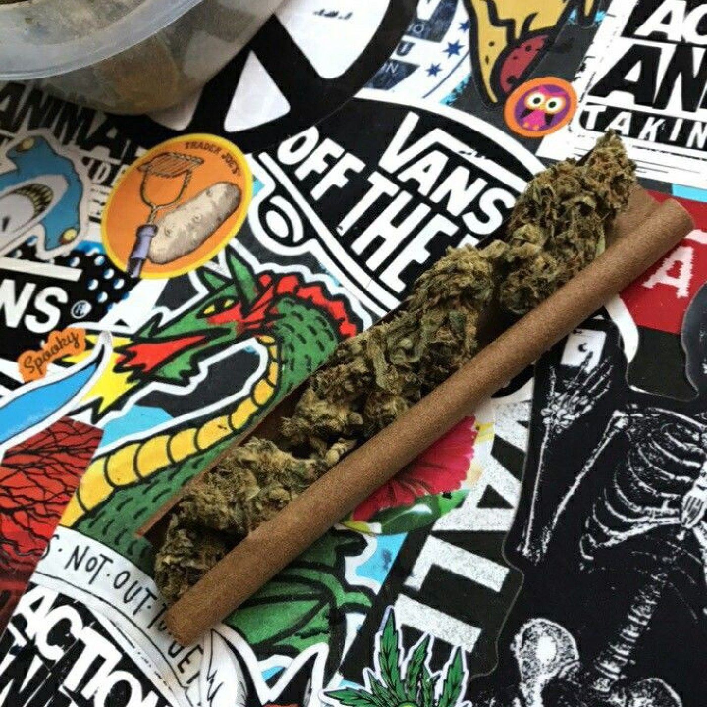 Got it All Bushy