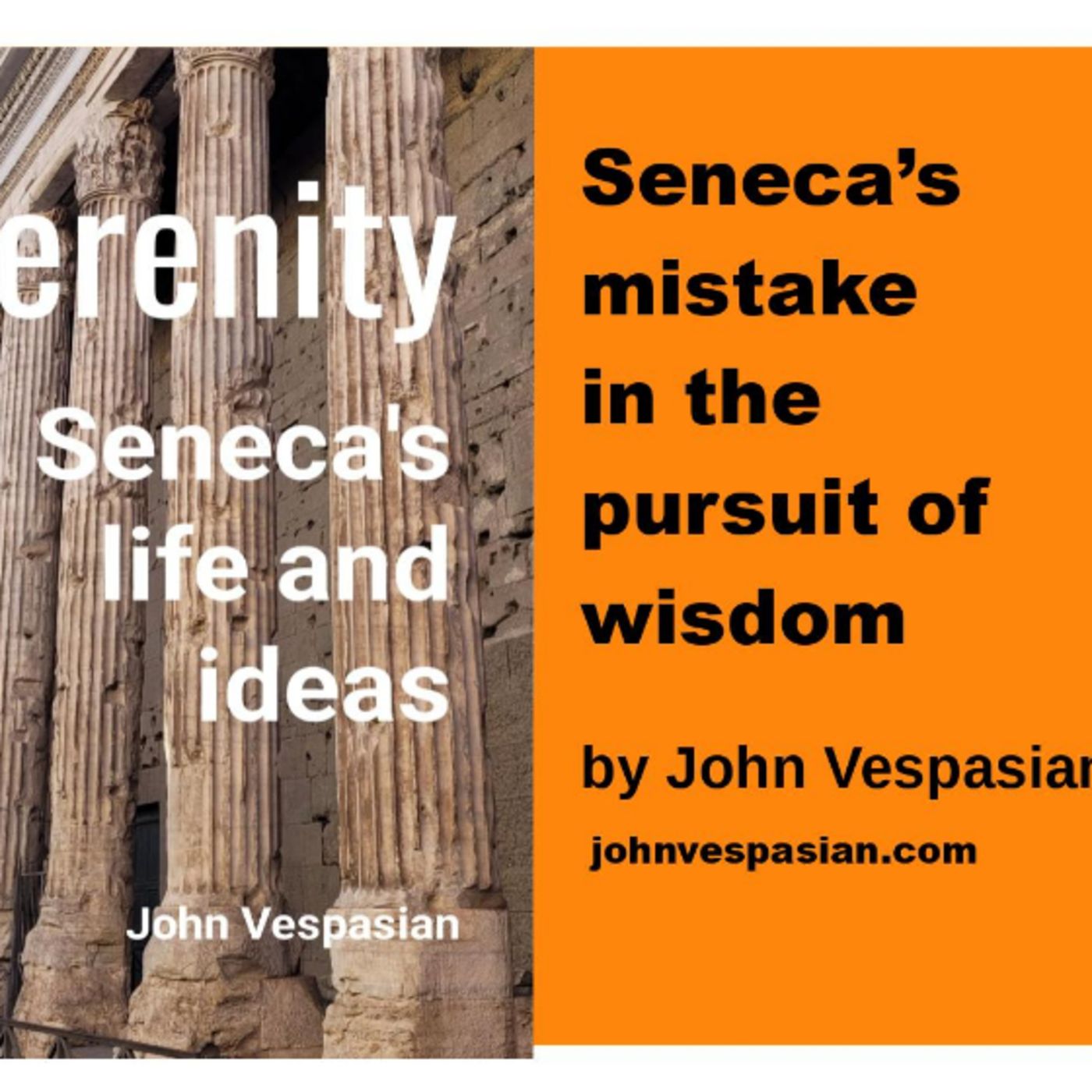 Seneca’s mistake in the pursuit of wisdom episode artwork