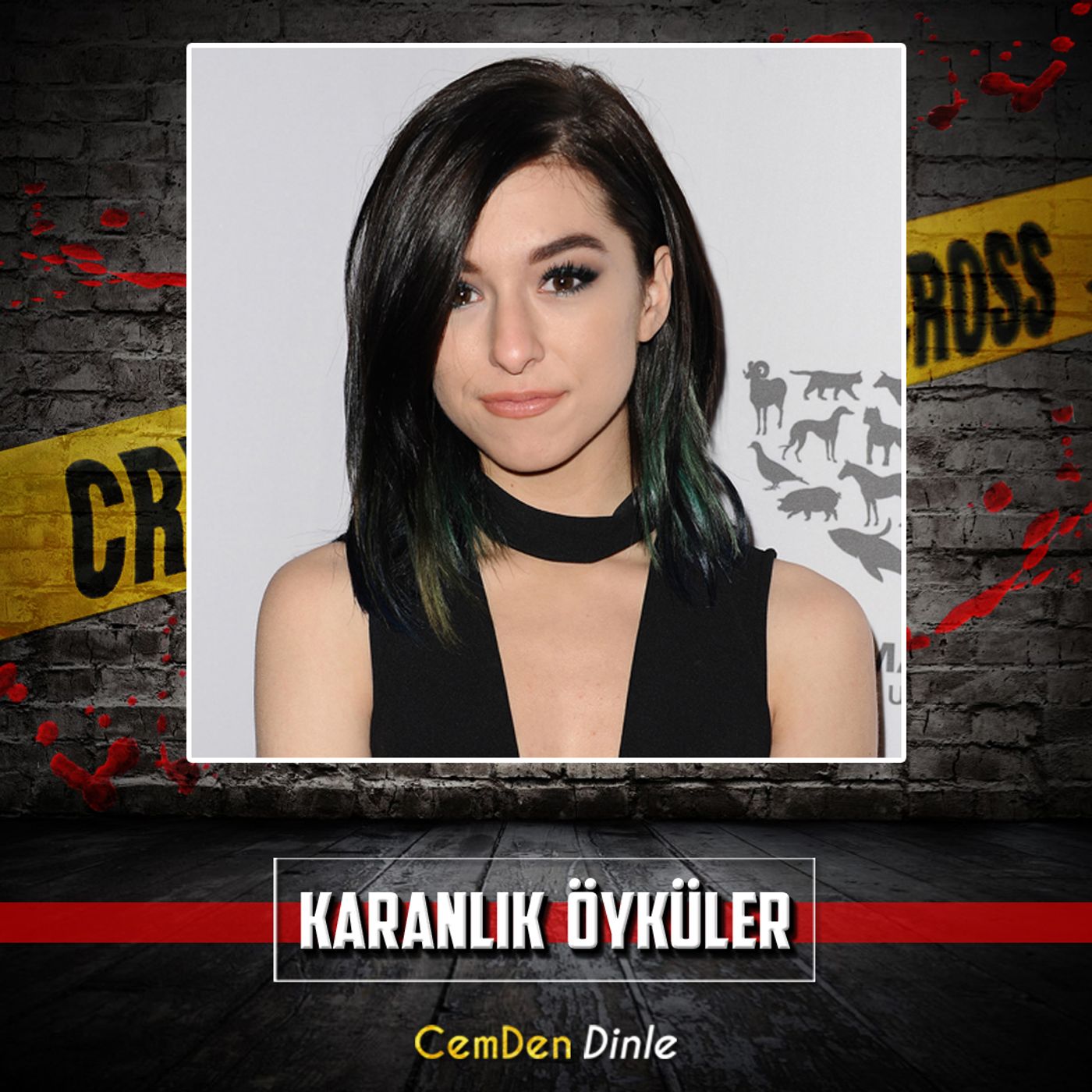 Hayran Kurbanı Şarkıcı: Christina Grimmie