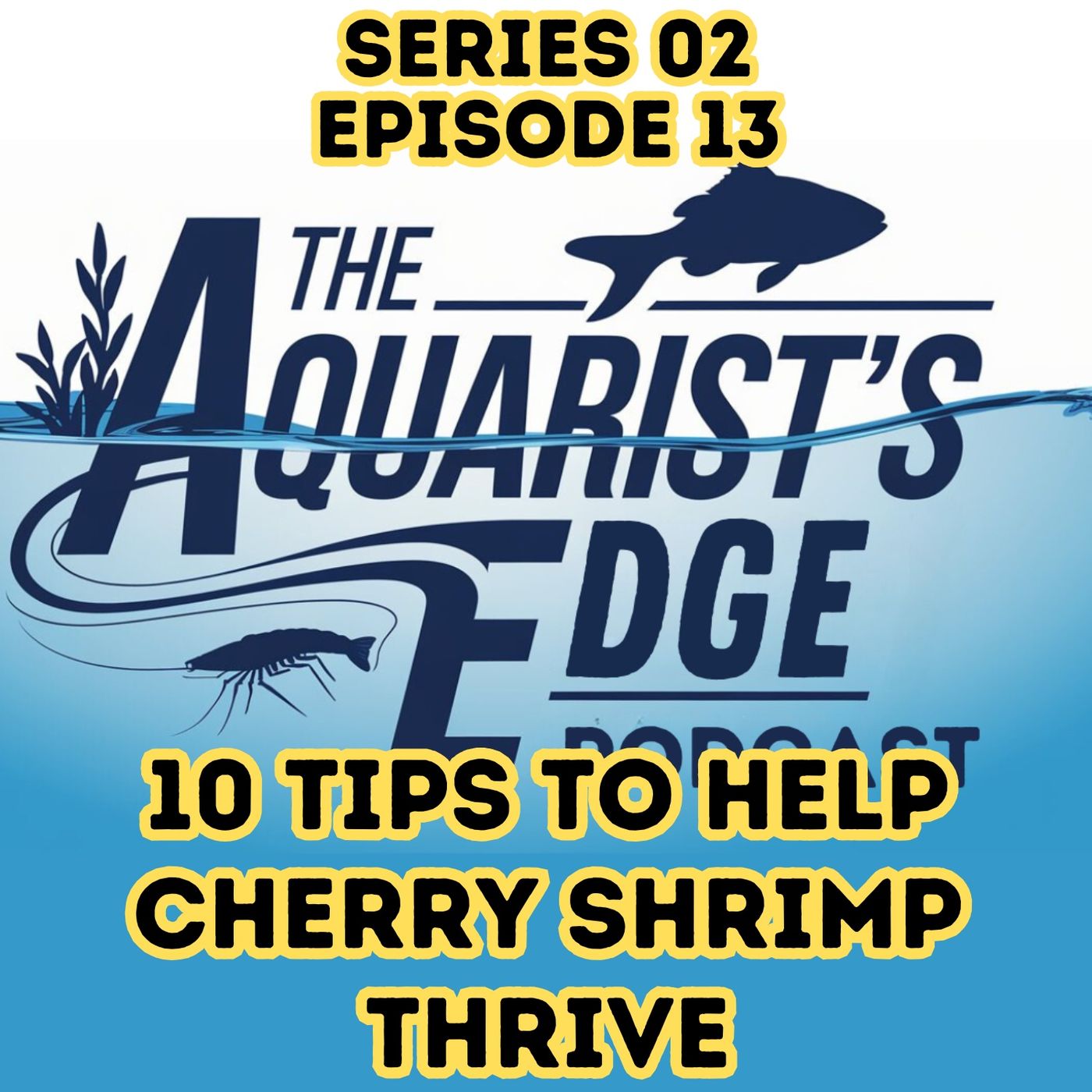 The Aquarist\'s Edge