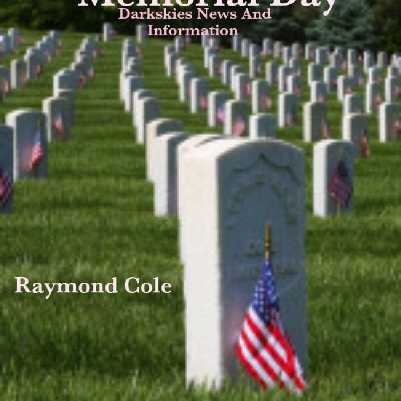 Memorial Day episode artwork