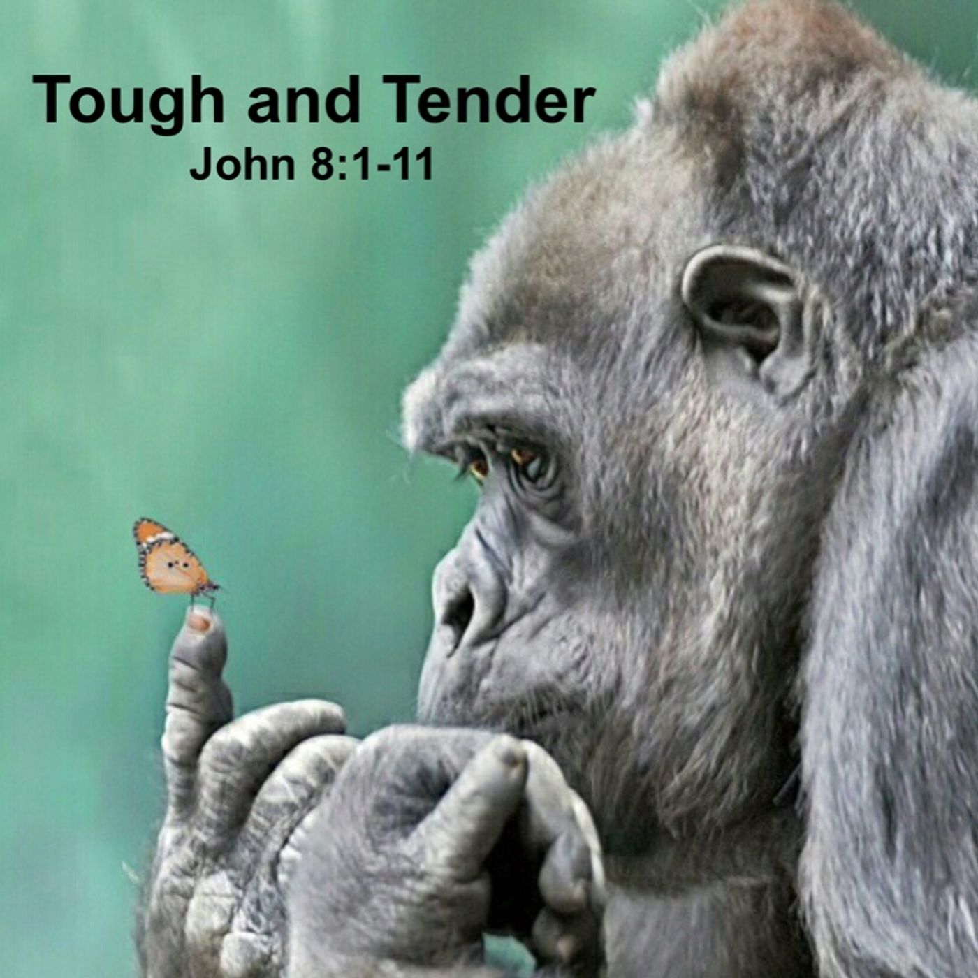 Tough and Tender by Pastor Steve Smith episode artwork
