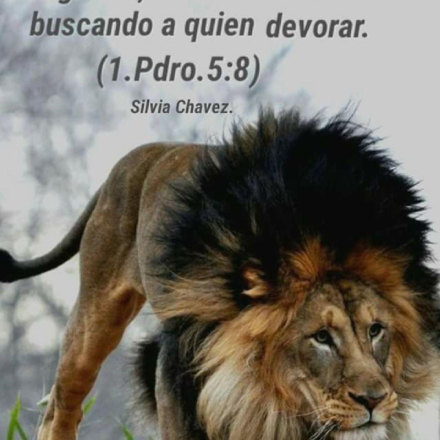 SALMOS DE ASCENSION