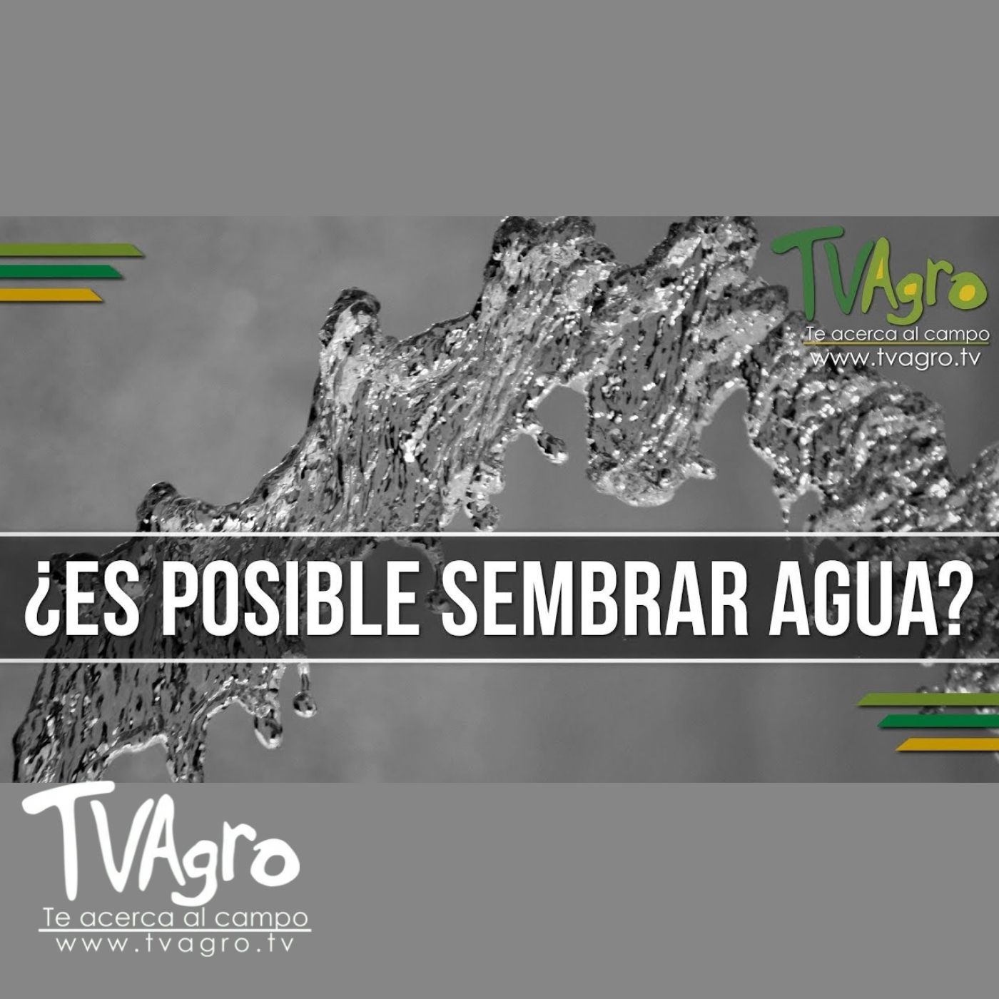 TV AGRO
