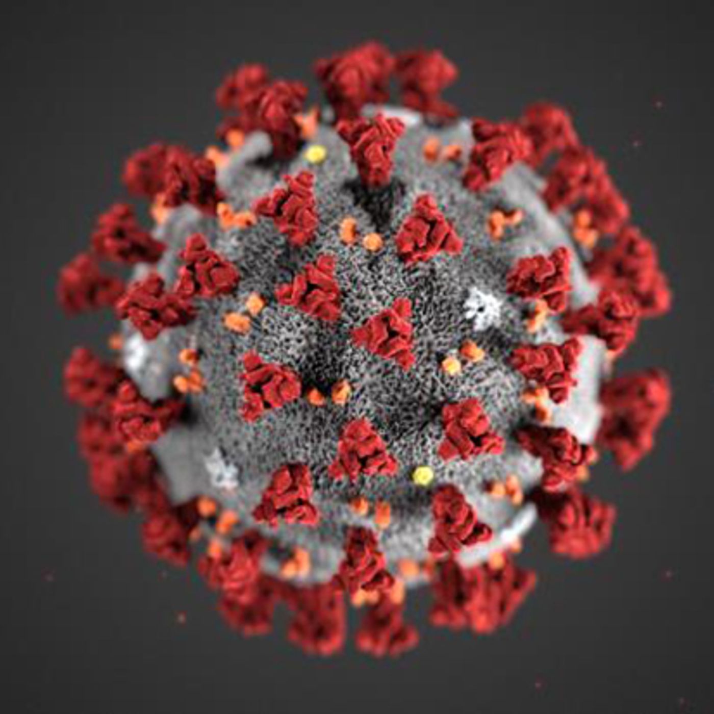 RadioVirus