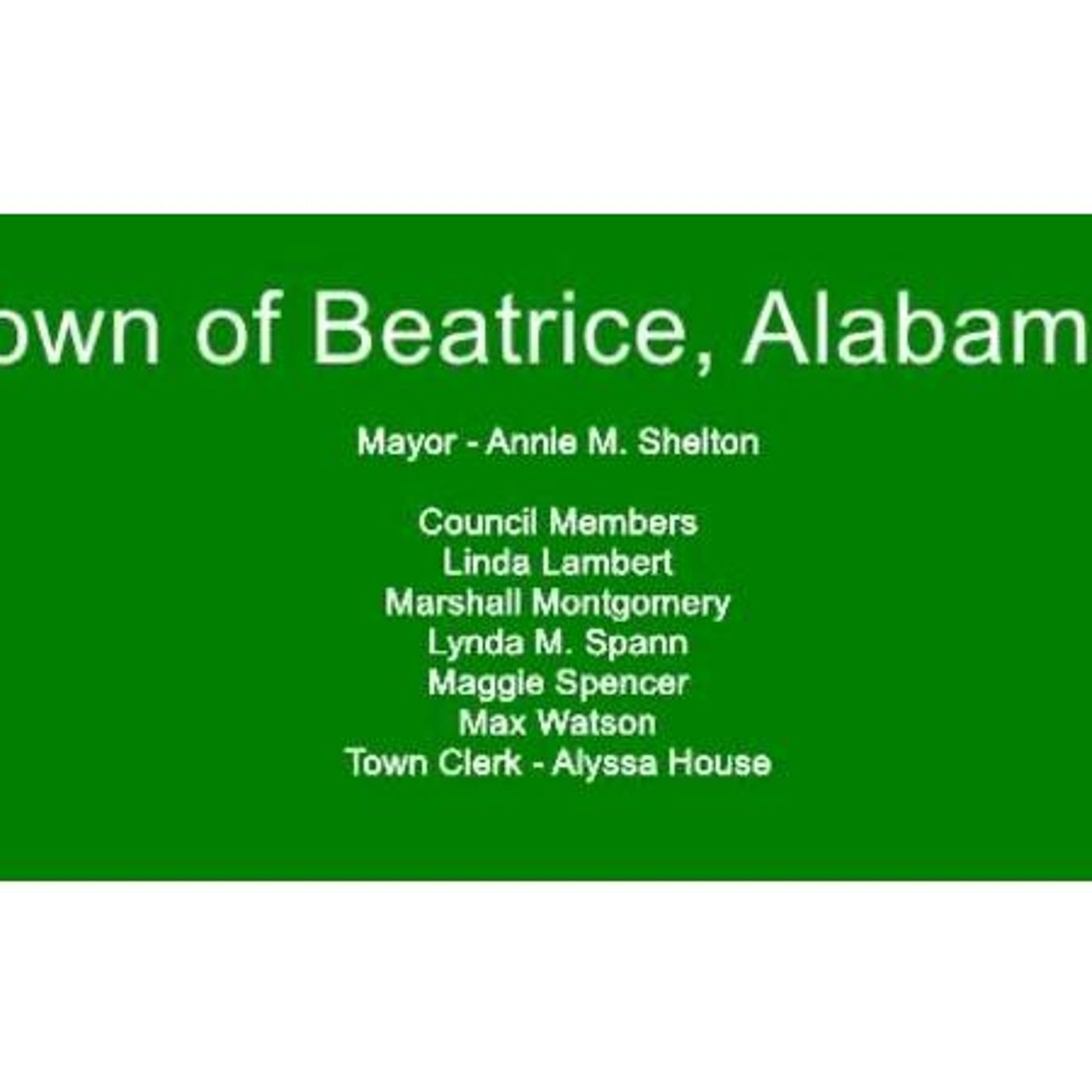 TOWN OF BEATRICE HEALTH FAIR APRIL 1 2023 COMMUNITY CLEAN UP APRIL 2-8 2023 episode artwork