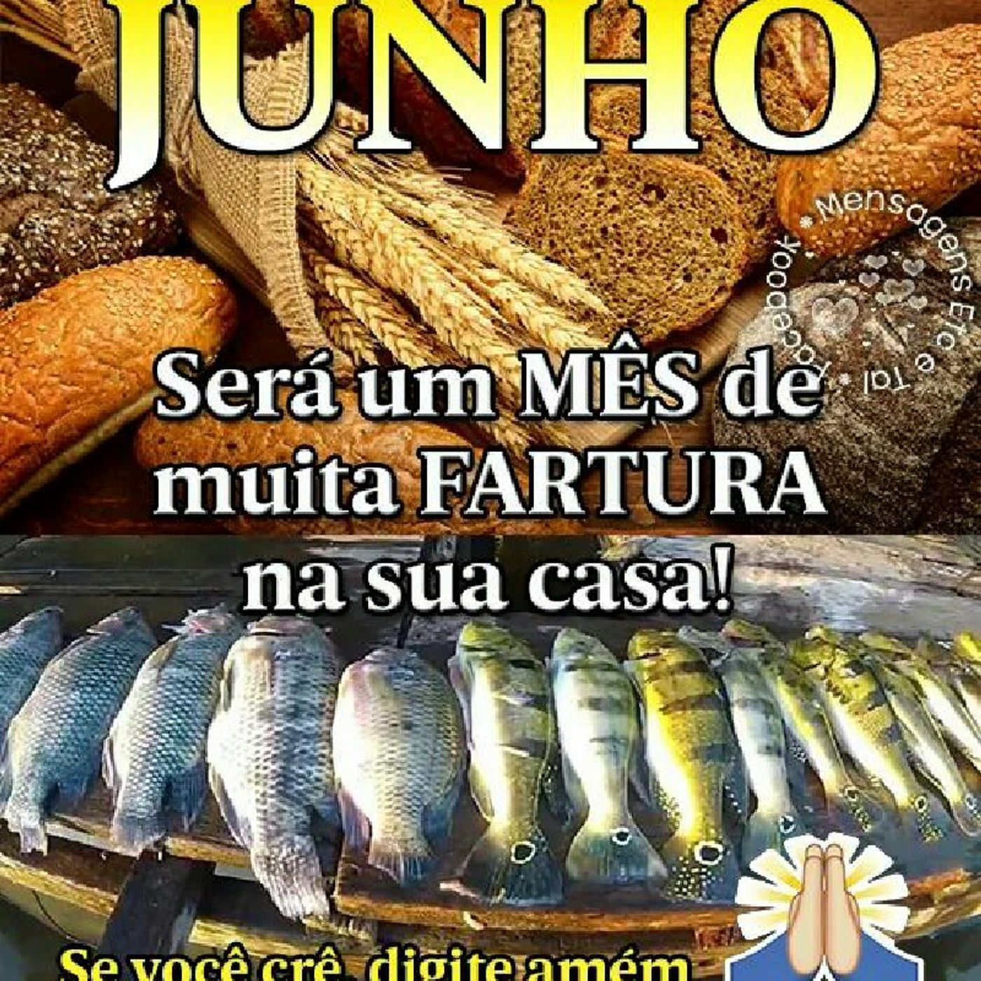 Voz Para Missões. Miss. Ebor. P.V 22 vs 1-16. episode artwork