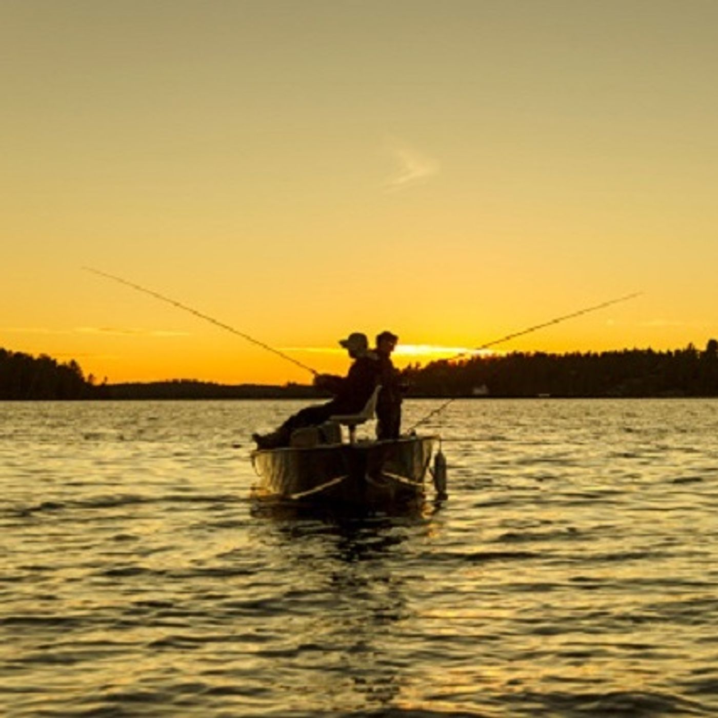 (Joke of the Day) Fishing With Dicky and Donny Dork episode artwork