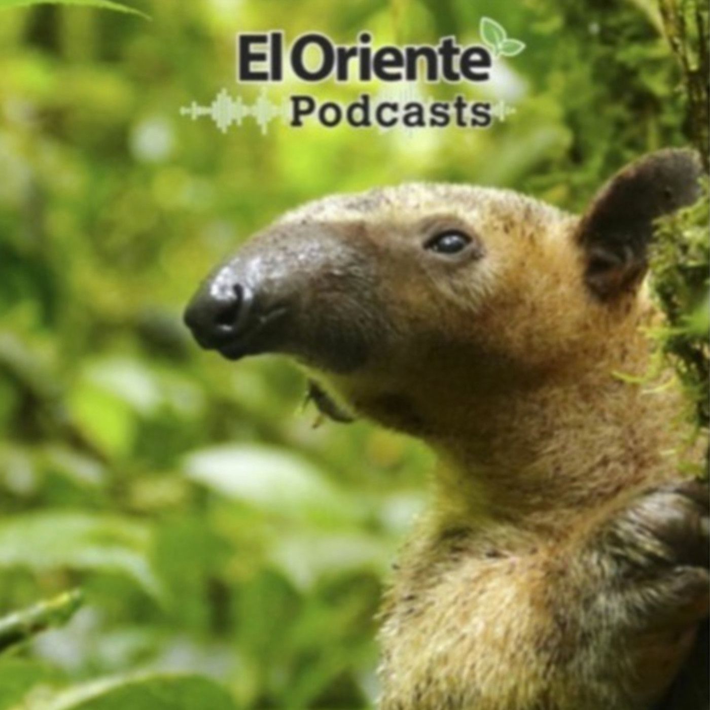 La Voz de la Amazonía