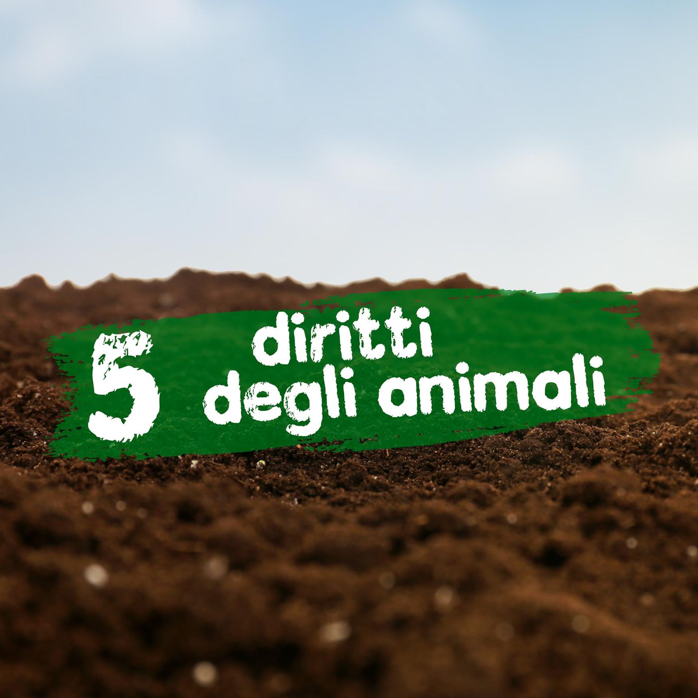 Diritti degli animali