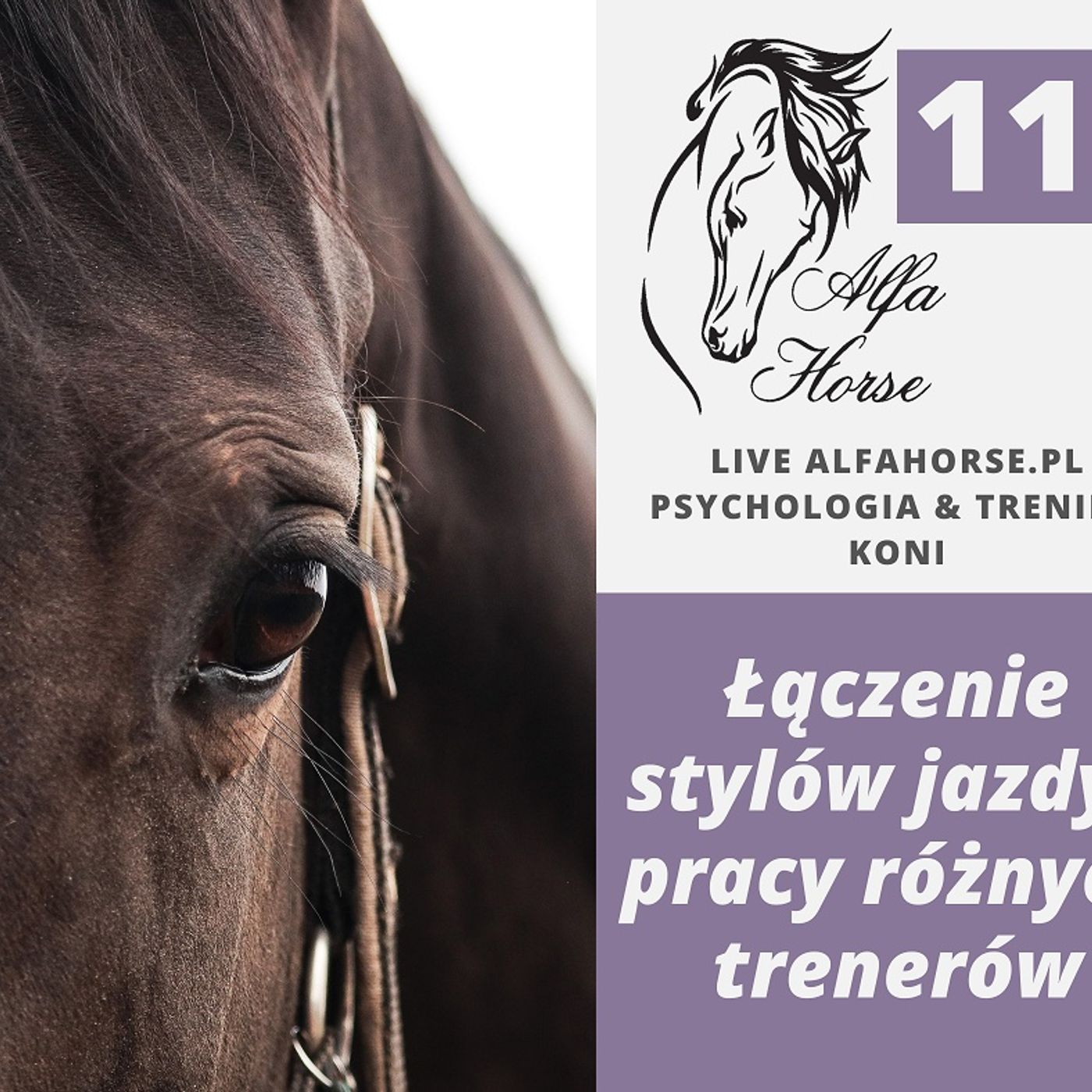 LIVE 118: Łączenie stylów jazdy i pracy różnych trenerów episode artwork