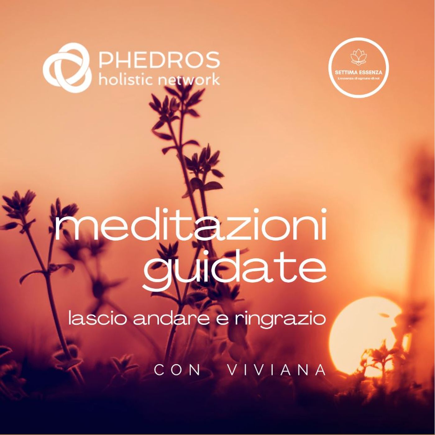 Meditazione guidata: Lascio andare e Ringrazio di Viviana Phedros