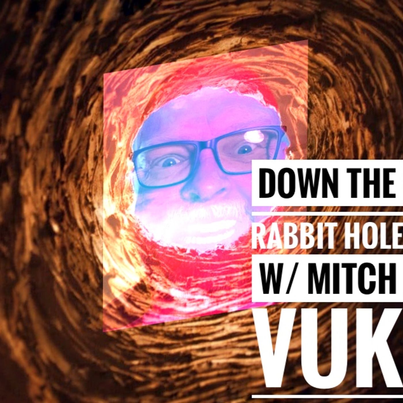 Ep. 52 My Appearance On Down The Rabbit Hole with Mitch Vuk