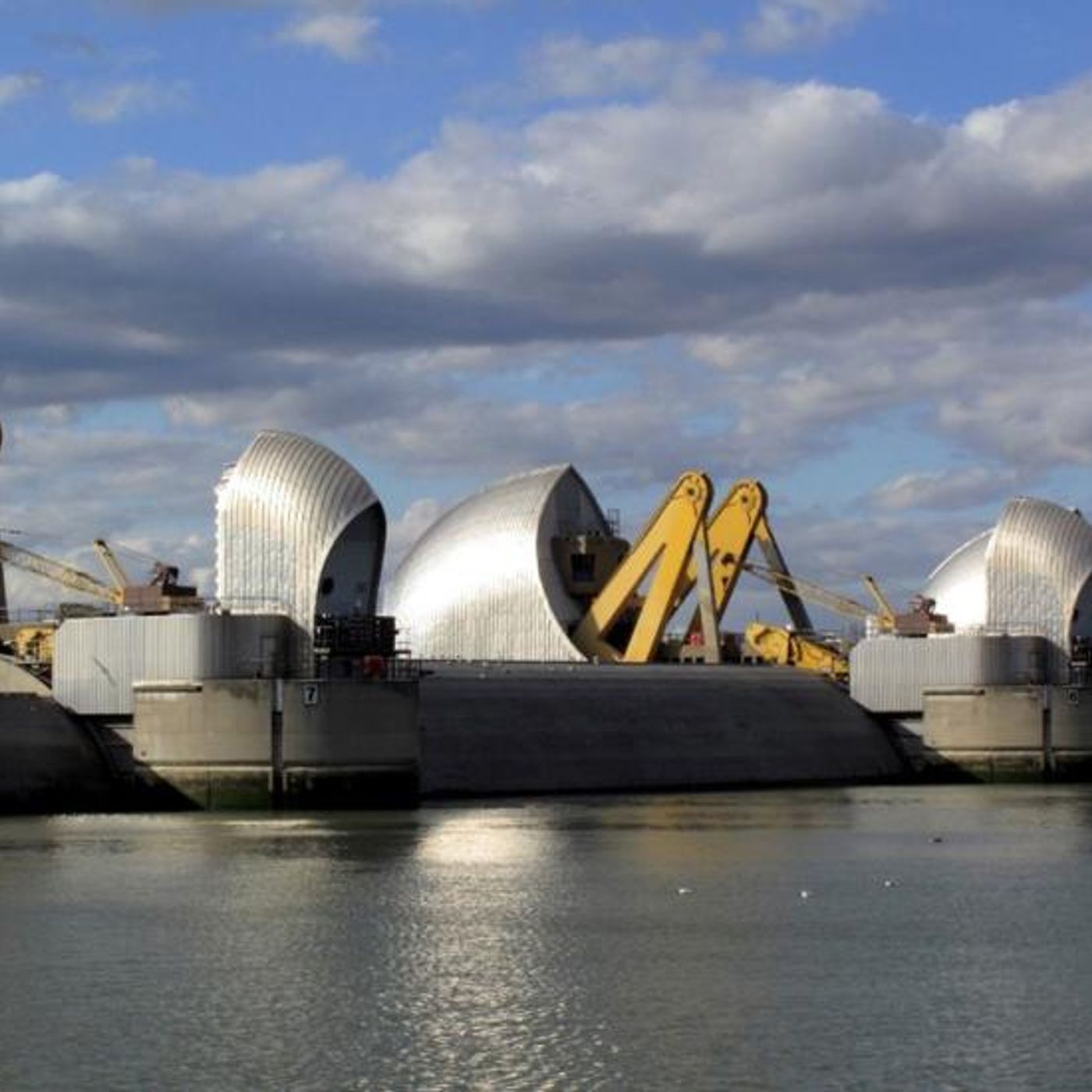 Futoshi Tachino\'s Environmental Show