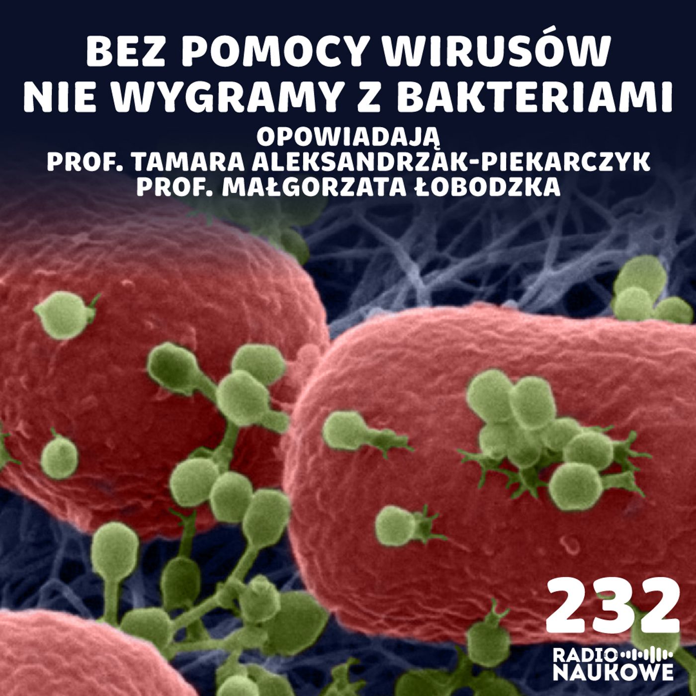 #232 Wojna z bakteriami – czy właśnie przegrywamy? | prof. Tamara Aleksandrzak-Piekarczyk, prof. Małgorzata Łobocka