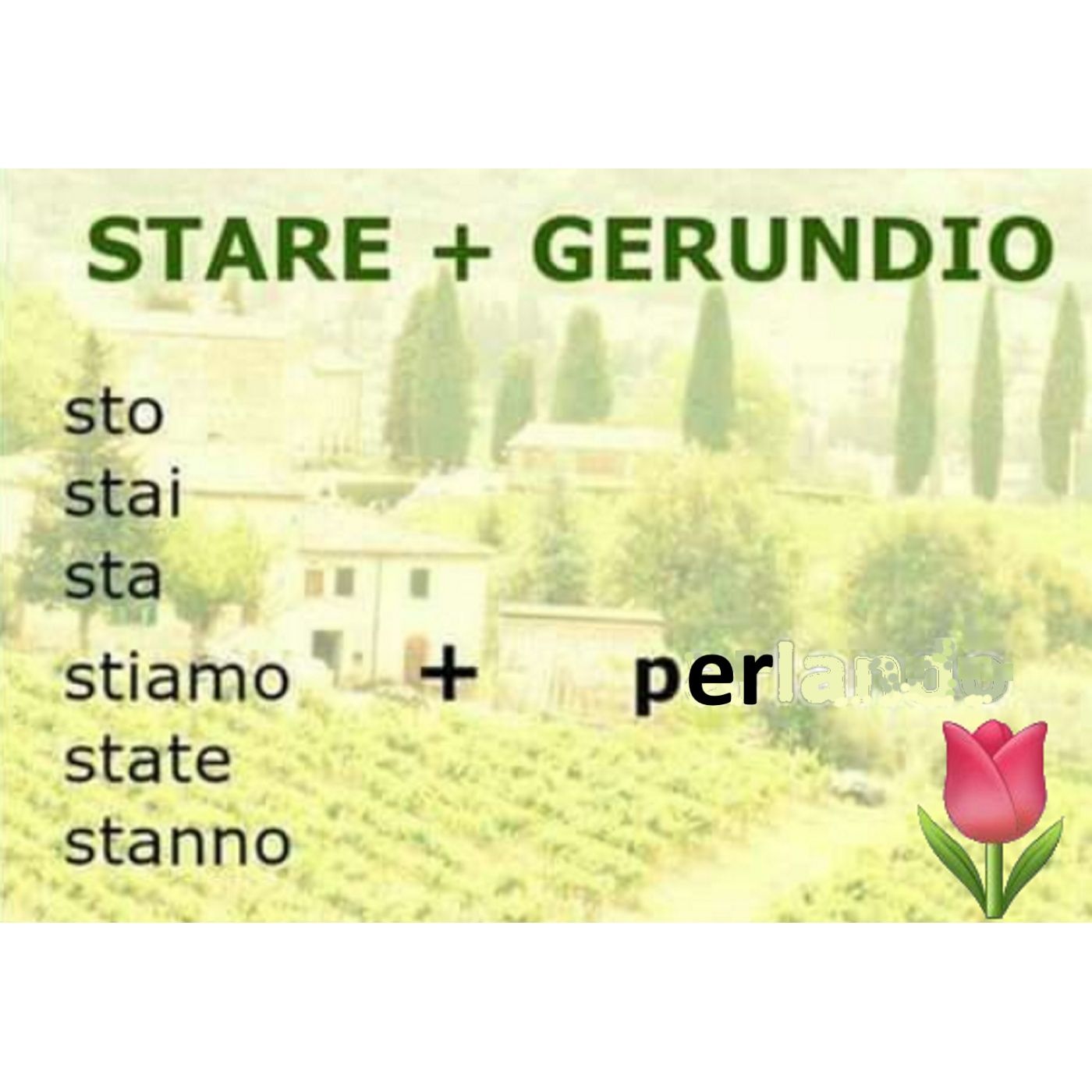 2LIP - Learn Italian with Luisa 🌷