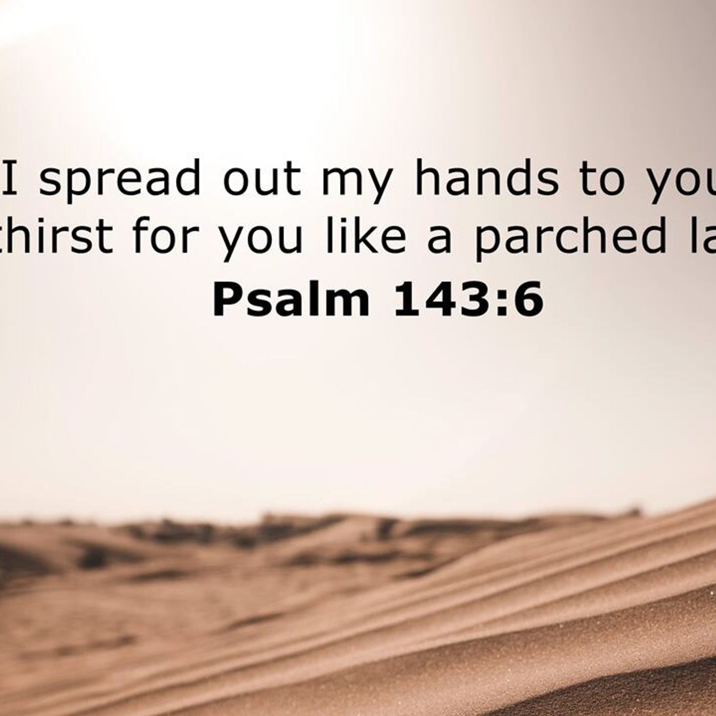 The Worship Show #202454 He Is The Healer for All