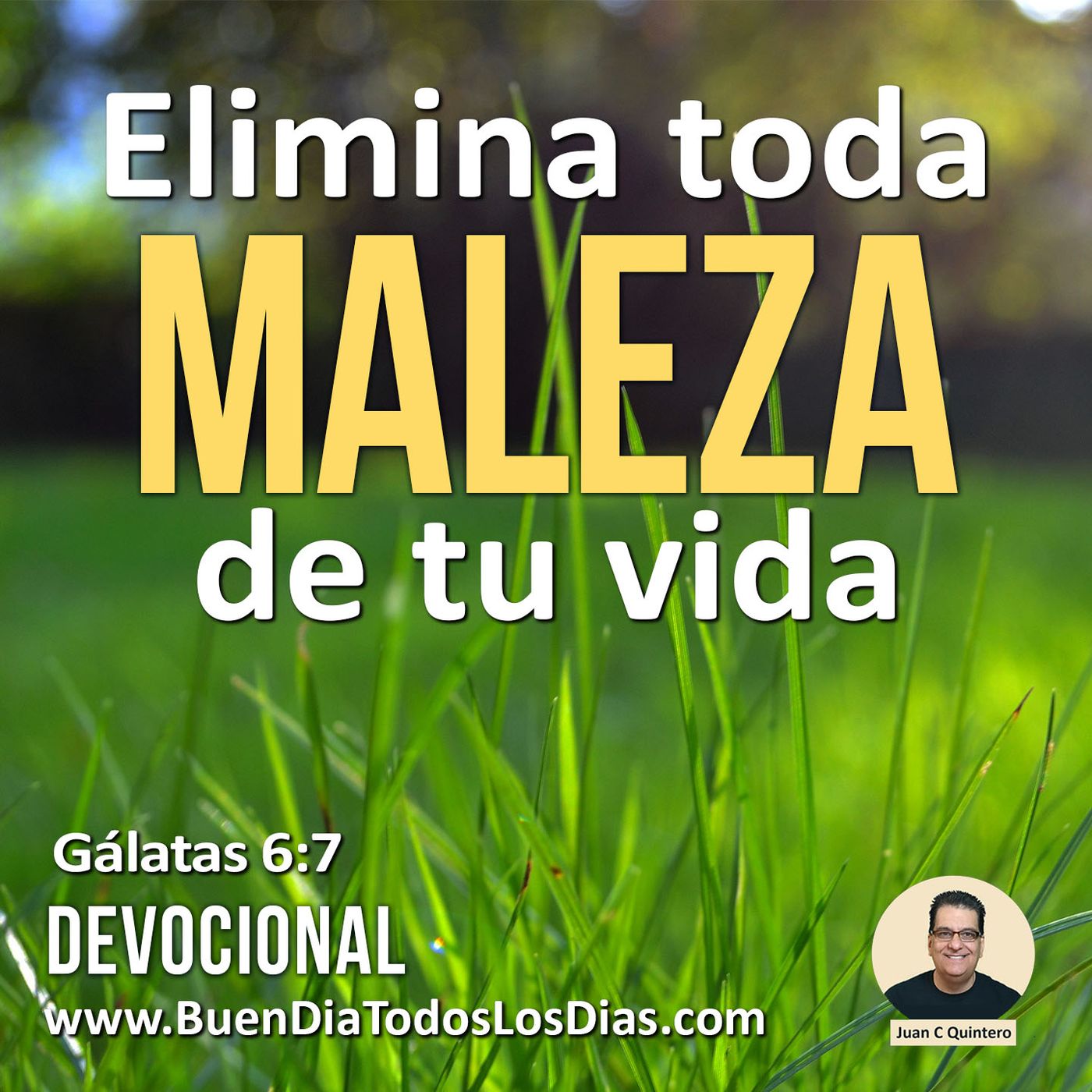 Elimina la maleza episode artwork