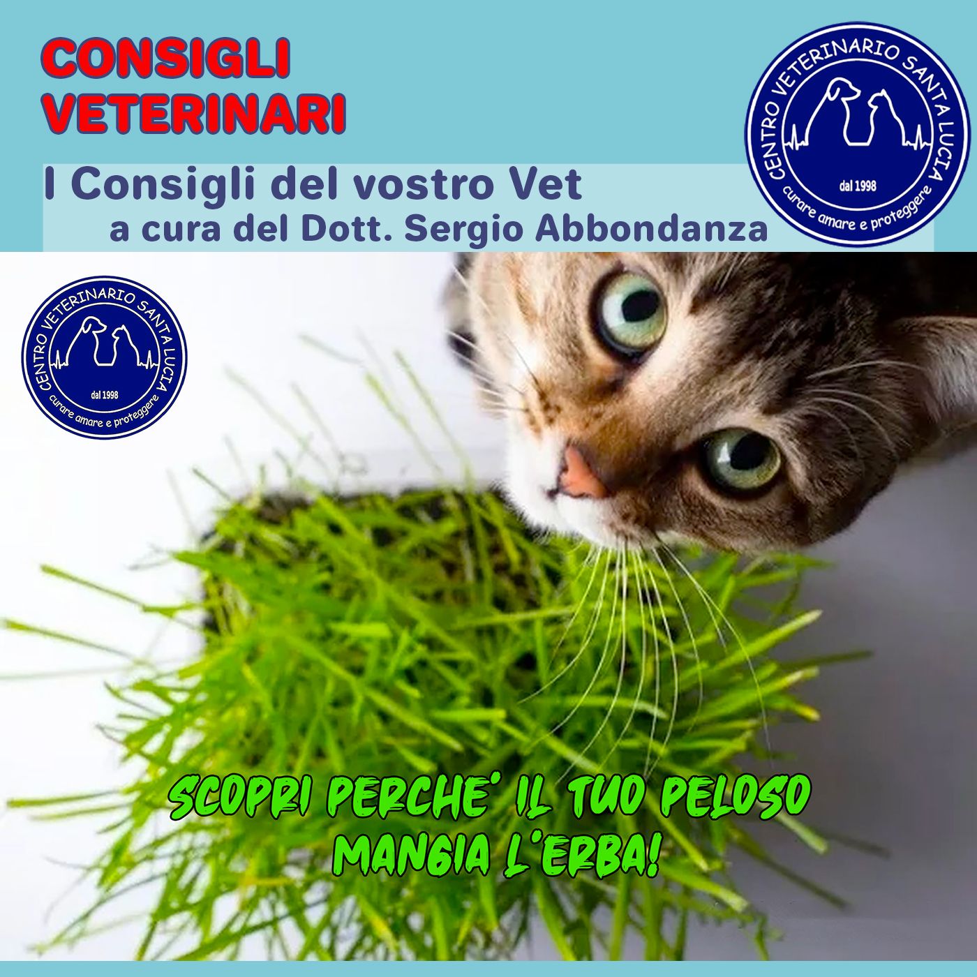 Consigli Veterinari