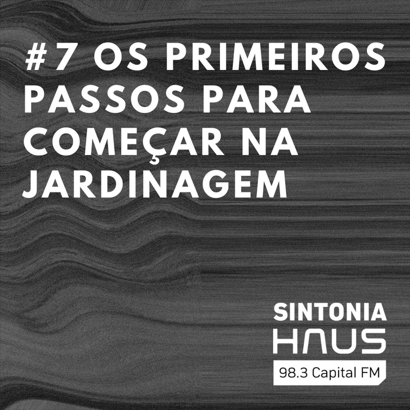 Os primeiros passos para começar na jardinagem | Sintonia HAUS #7 episode artwork