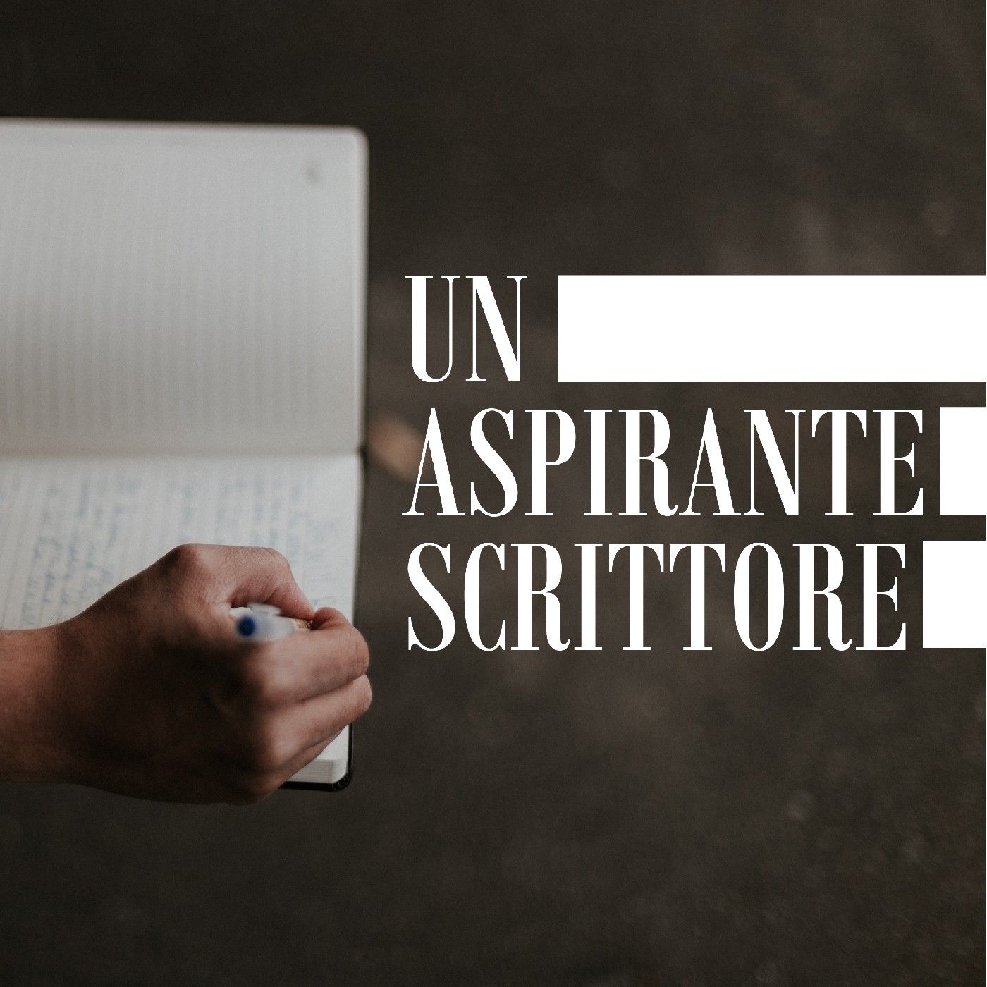 Un aspirante scrittore