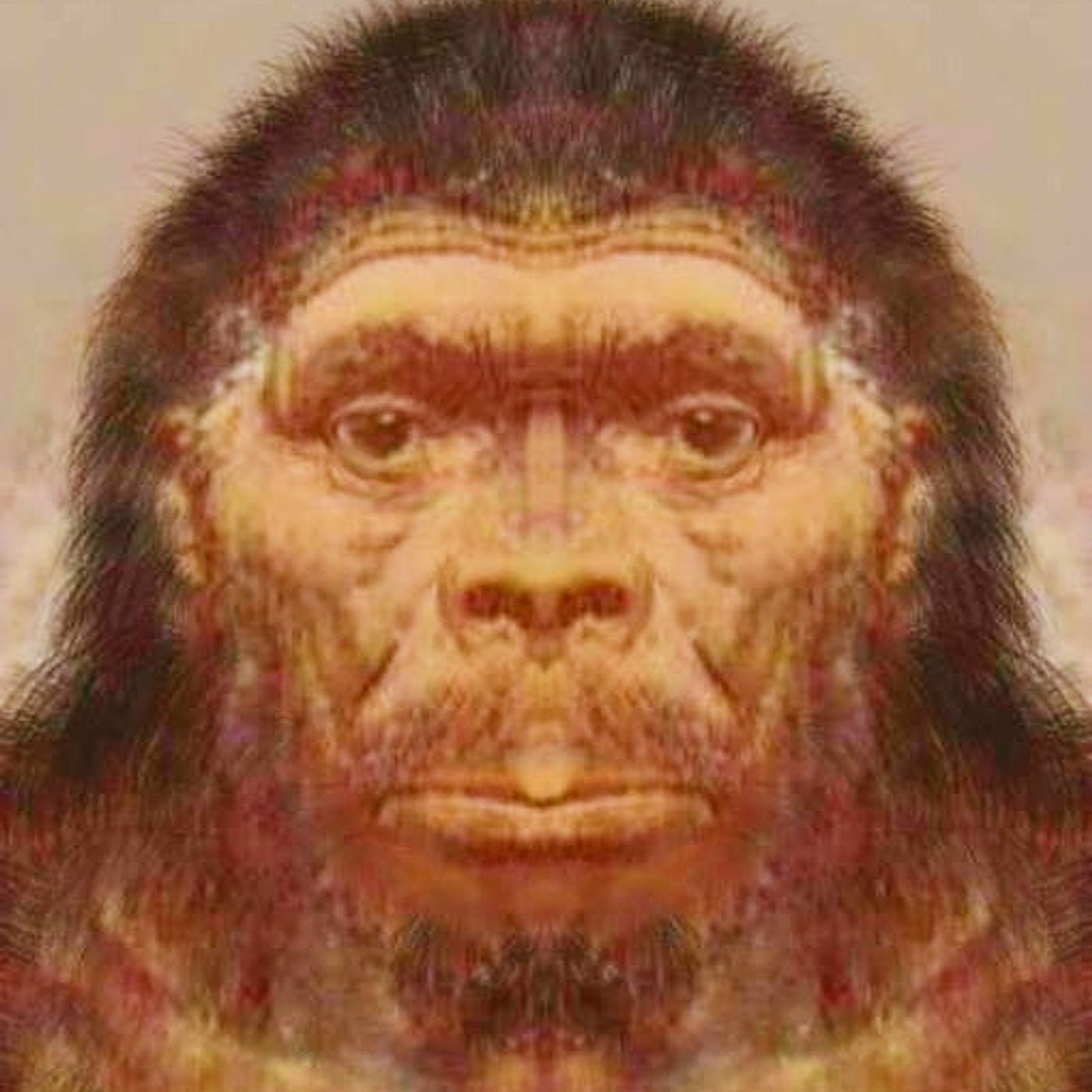 Many People have Seen Bigfoot whilst out walking the Dog. And these are their stories.