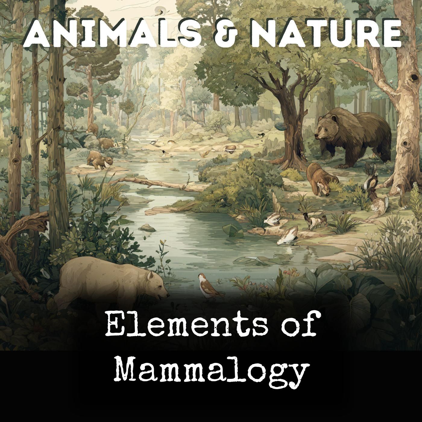 Elements of Mammalogy cover art