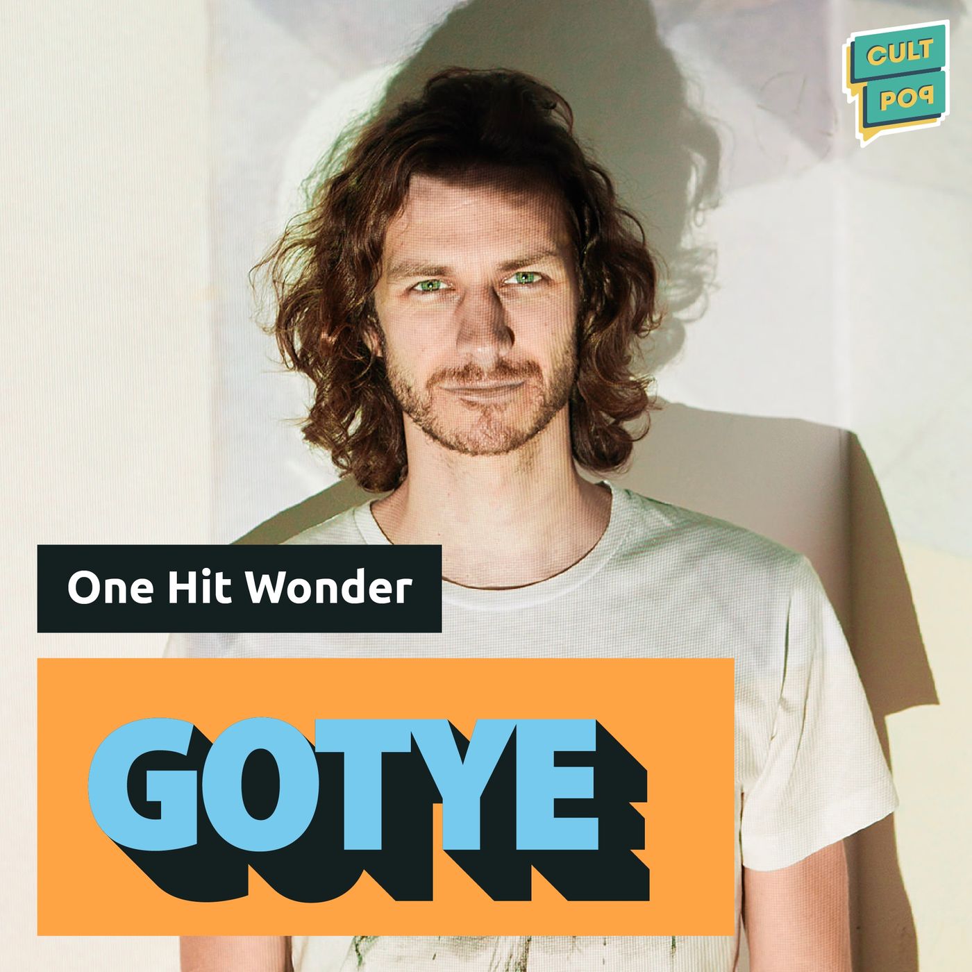 26. Gotye