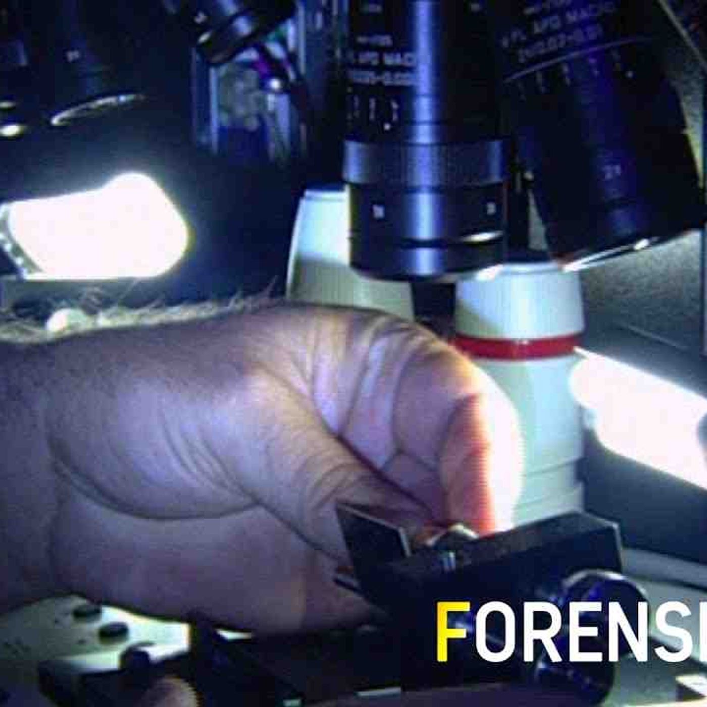 Forensic Files Season  No Safe Place - Full Episode episode artwork