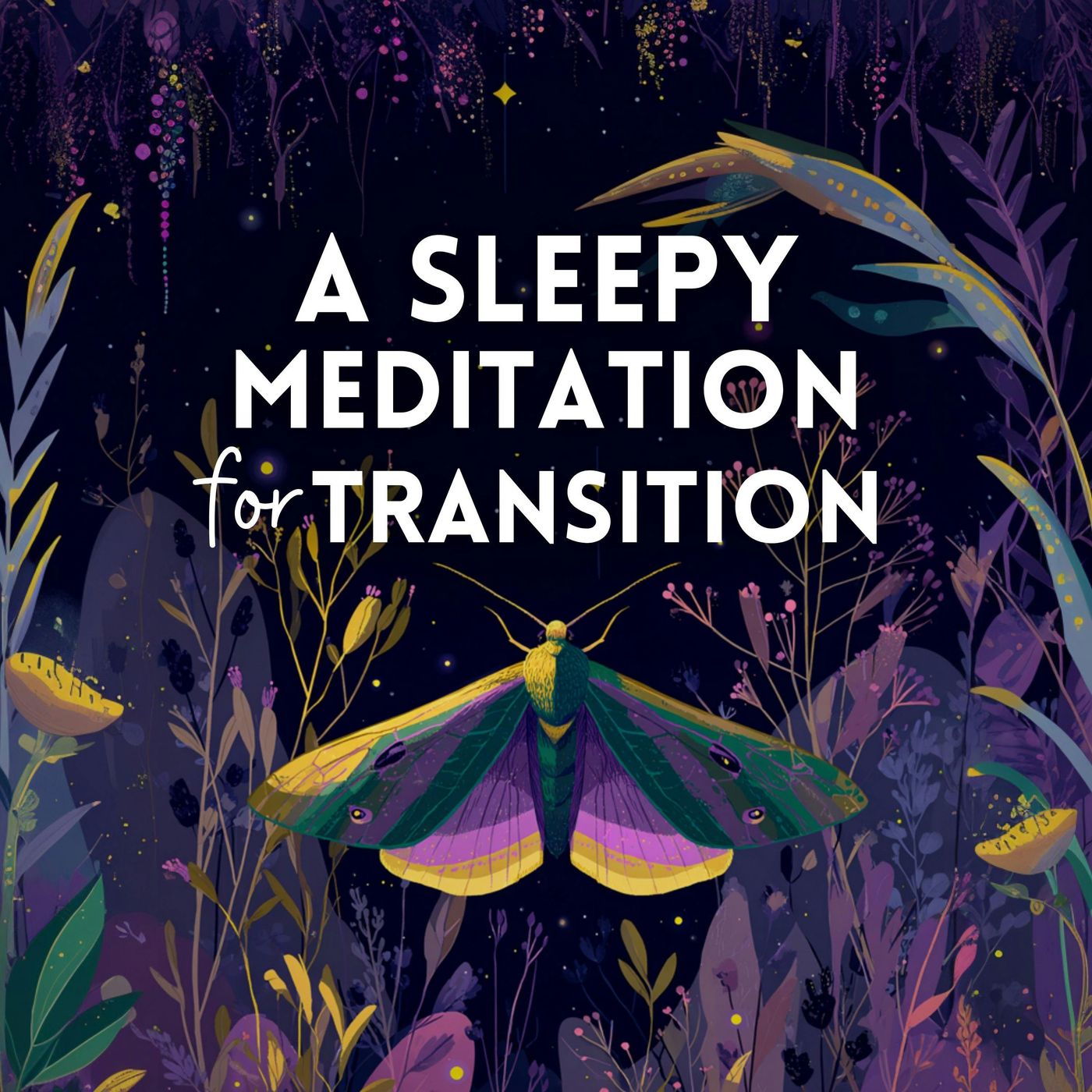 A Sleepy Meditation for Transition (New Year's 2026 Bonus)