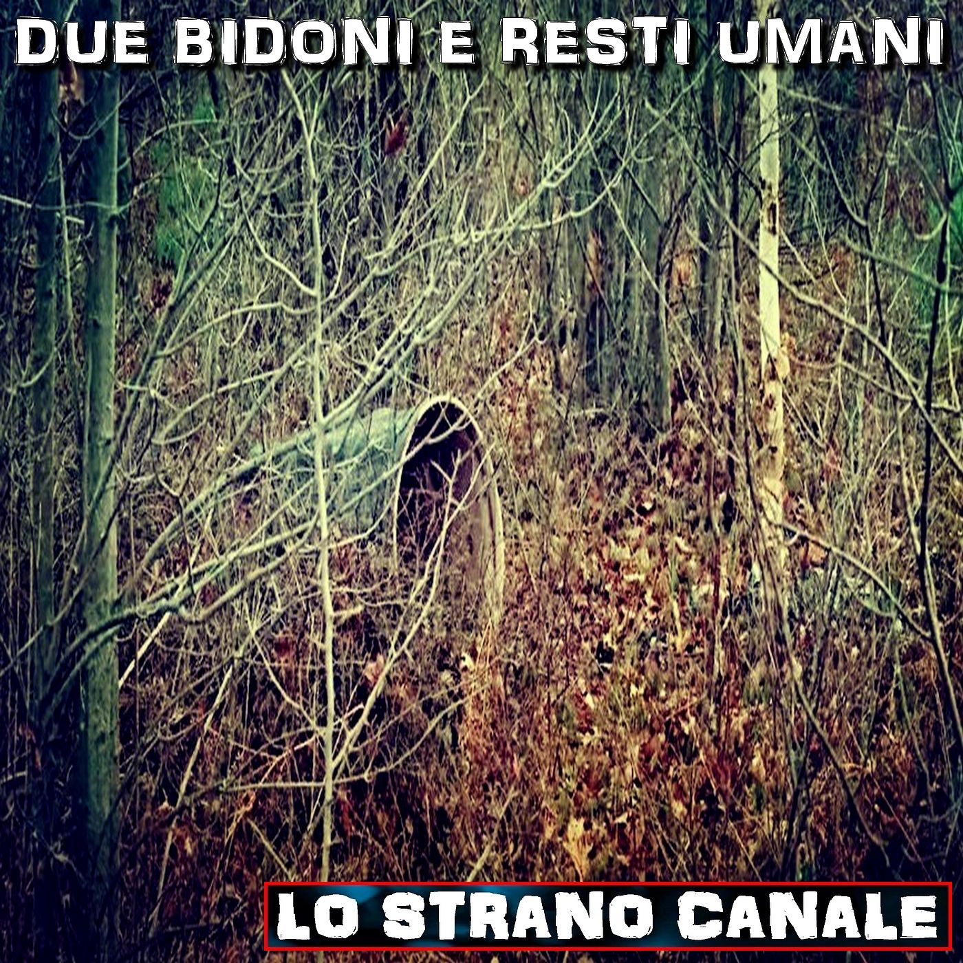 cover of episode DUE BIDONI E RESTI UMANI - Il caso Bearbrook (Lo Strano Canale Podcast)