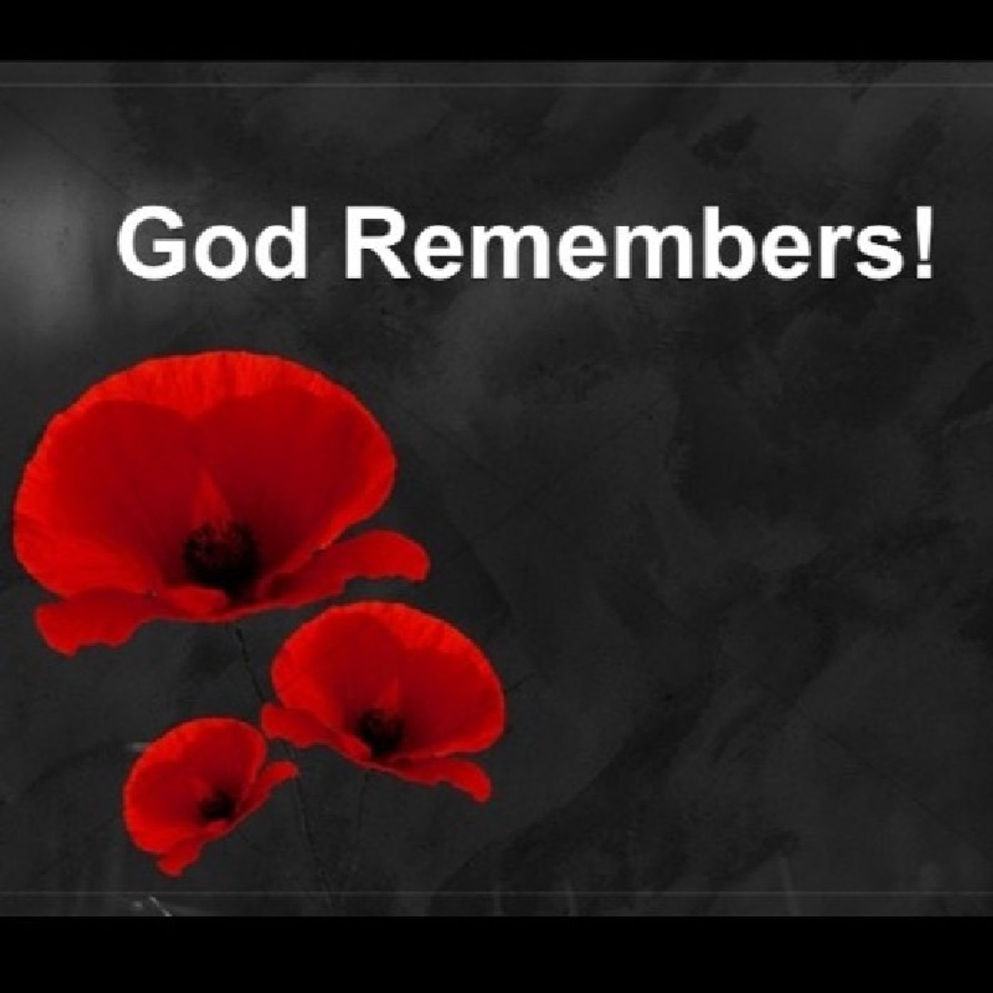 Episode 788 - Preachify Daily Devotion:GOD REMEMBERS! episode artwork