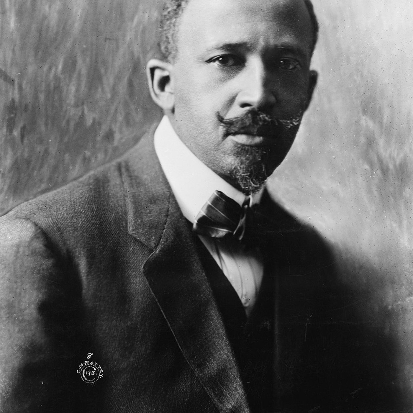 "The Souls of Black Folk" by W.E.B. Du Bois (Chapter VIII)