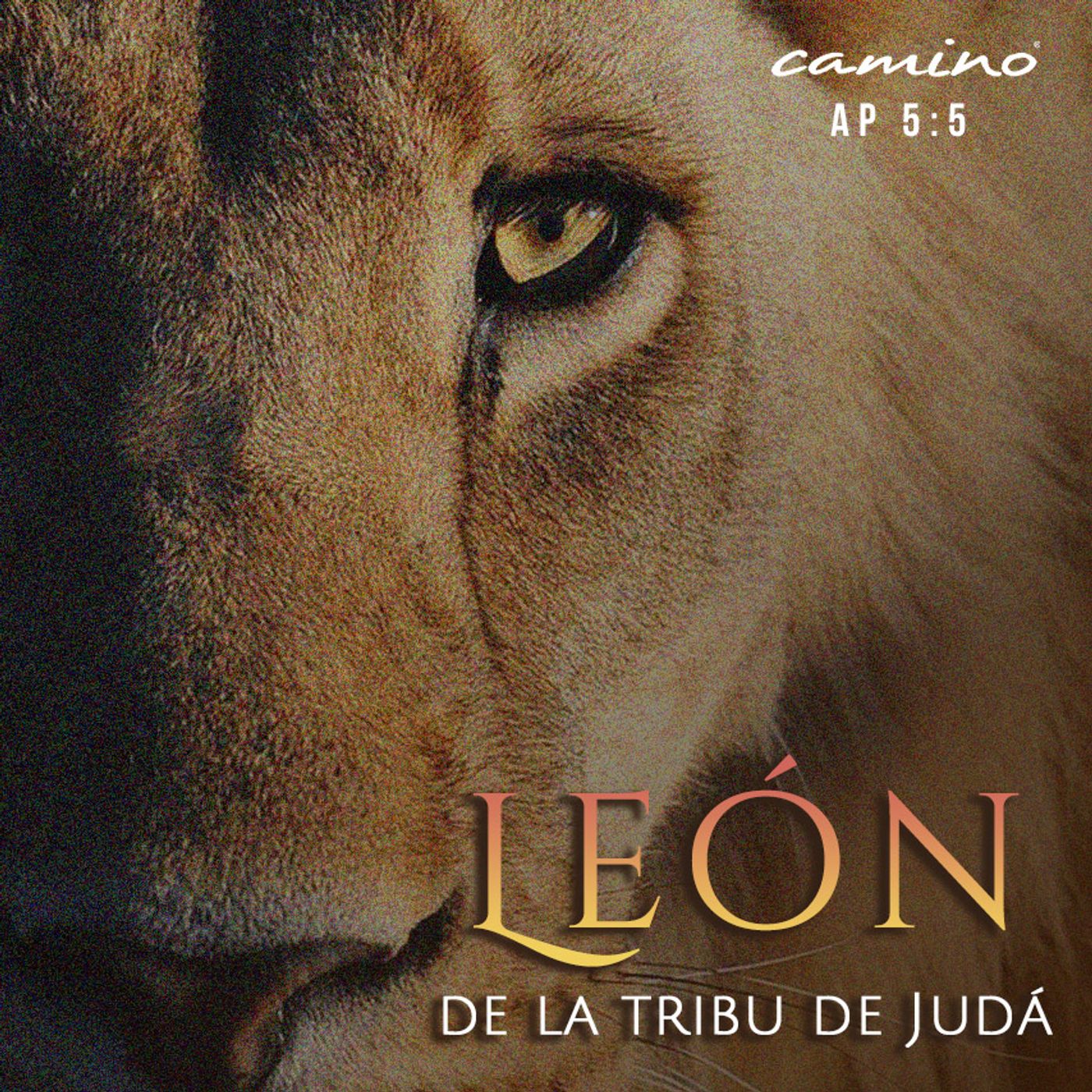 Oración 16 de marzo (León de la tribu de Judá) episode artwork
