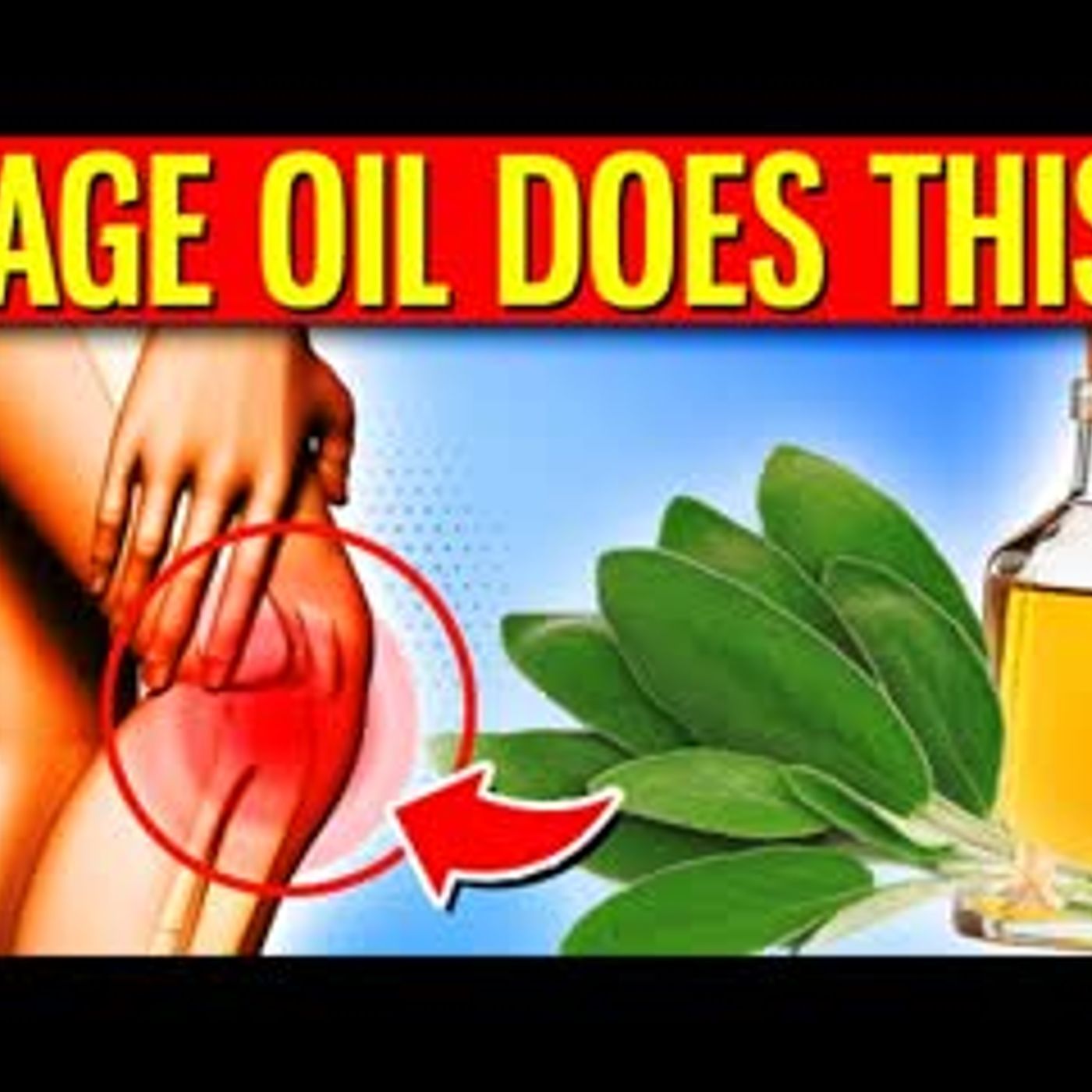 10 POWERFUL Health Benefits Of Sage Oil You Must Know About episode artwork