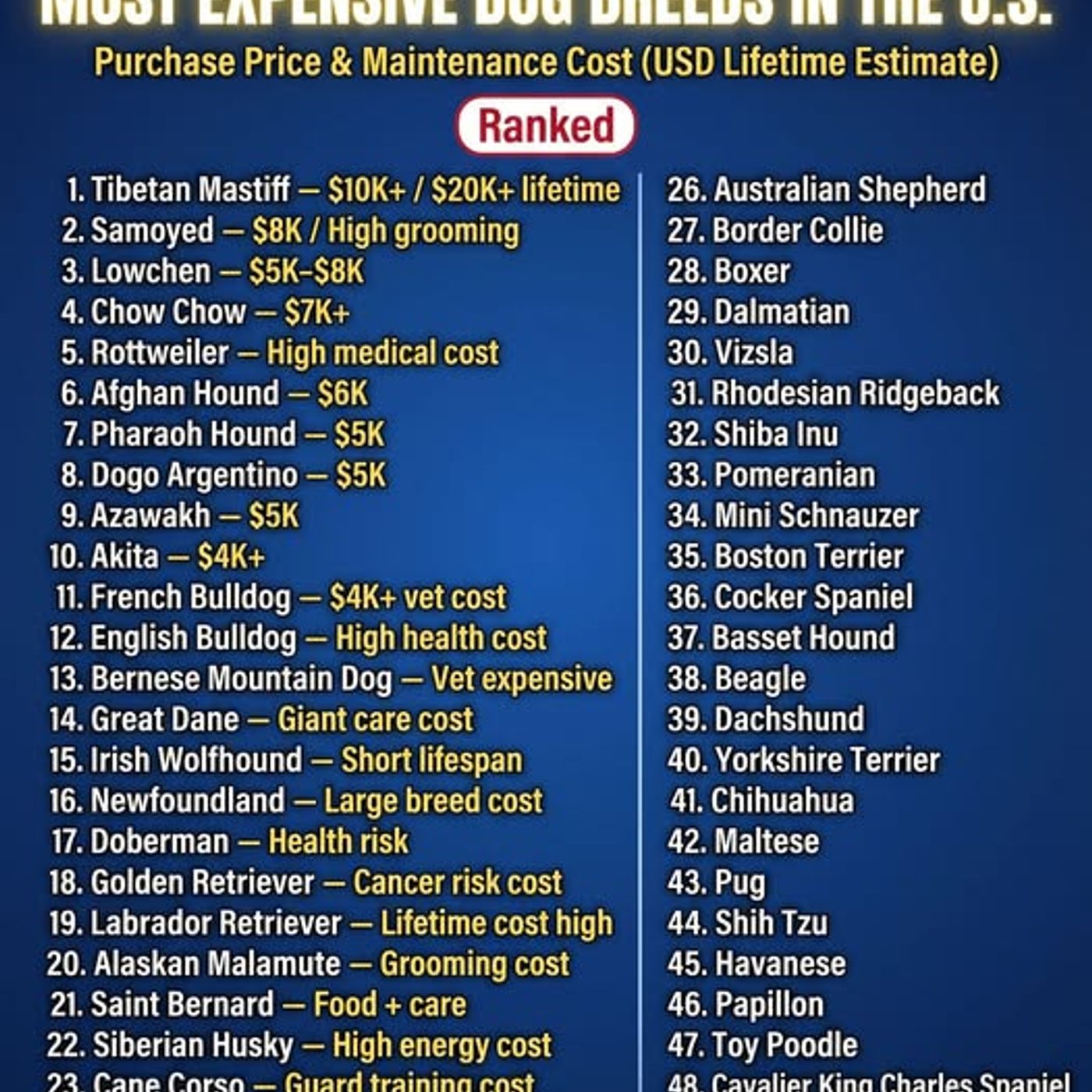 The soaring cost of pet ownership in America_Ten underrated tips for weight loss that WORK_041426