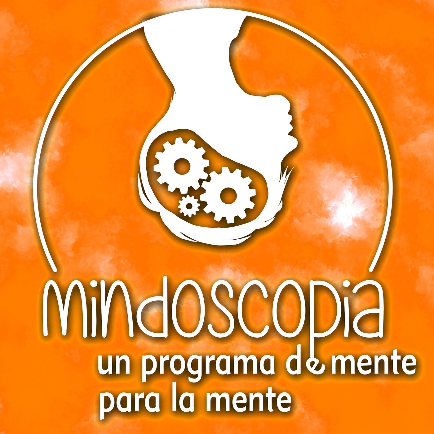 Mindoscopia | Reconexion Life