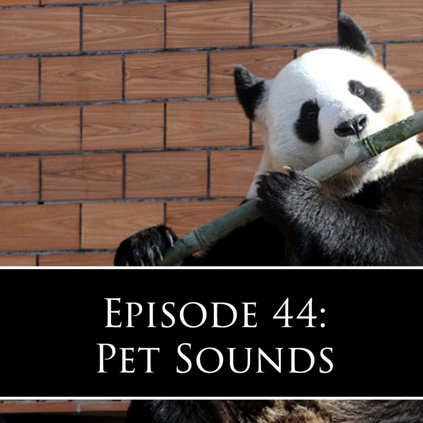 44: Pet Sounds episode artwork