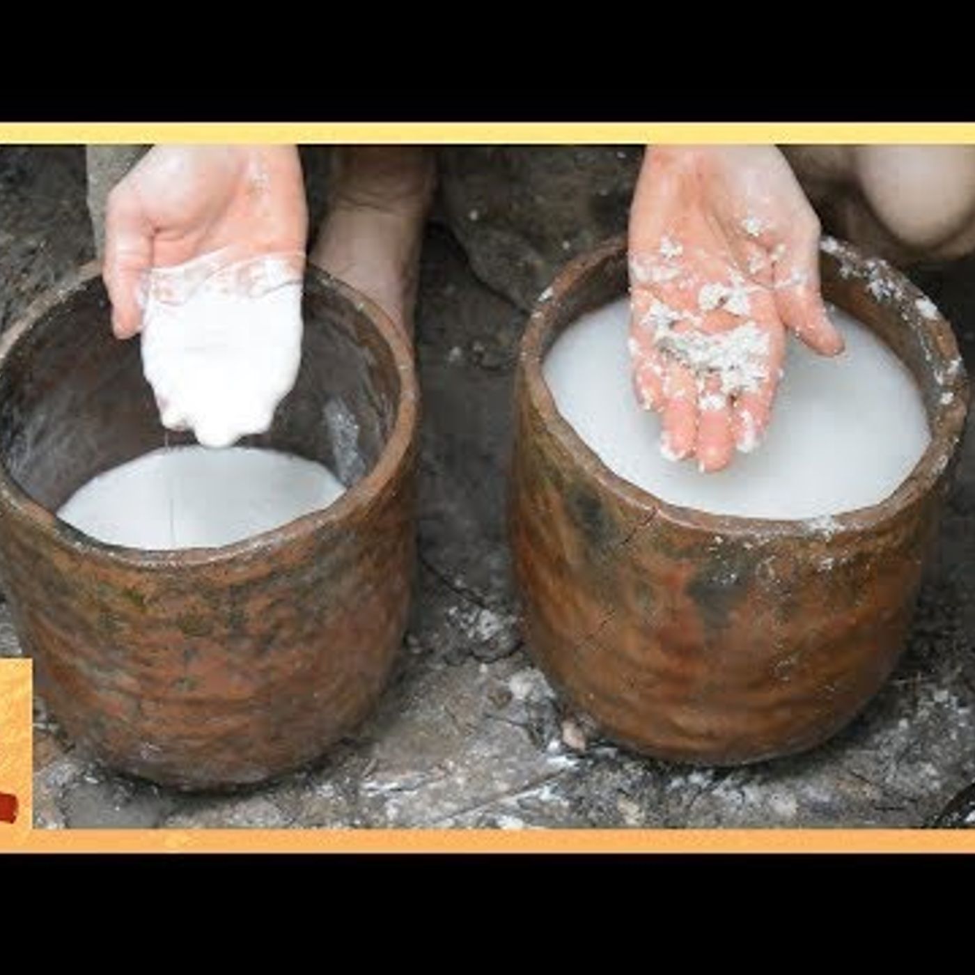 Primitive Technology: Polynesian Arrowroot Flour episode artwork