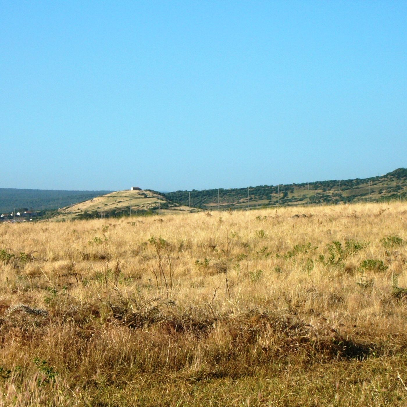 Tracce di PianetaInVendita