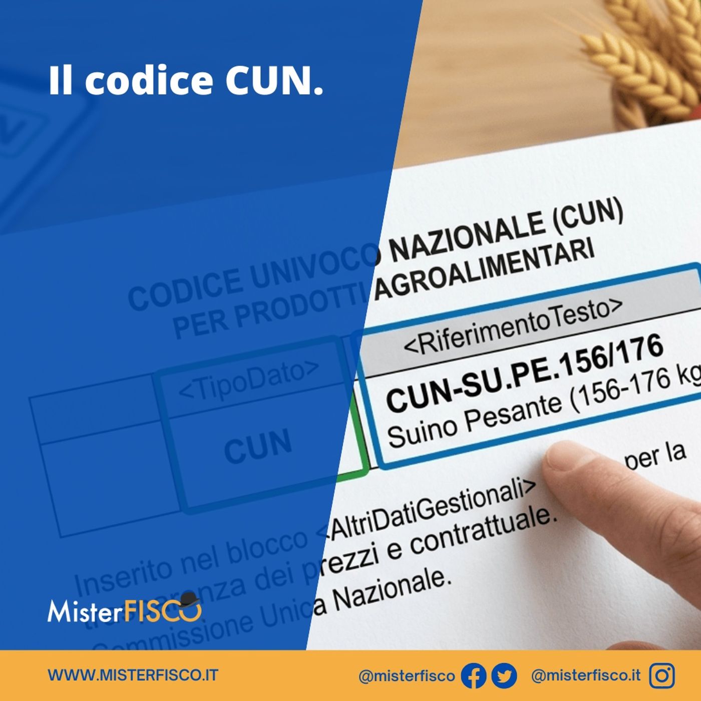 Codice CUN episode artwork