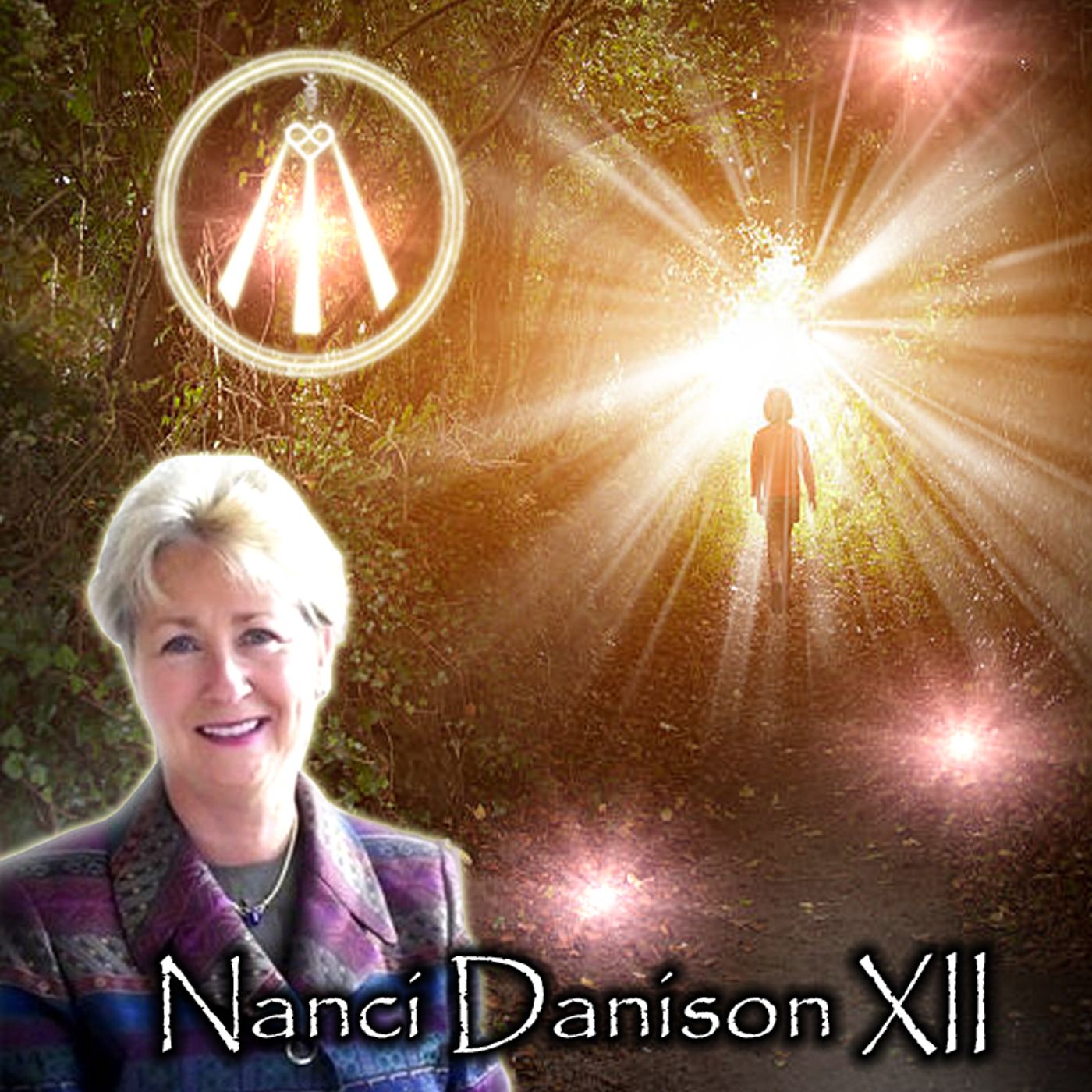 More Insights From The Afterlife with Nanci L. Danison, Esq. episode artwork