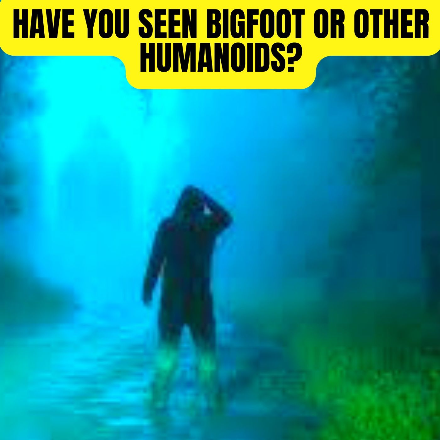 Have you seen Bigfoot or other Humanoids? episode artwork
