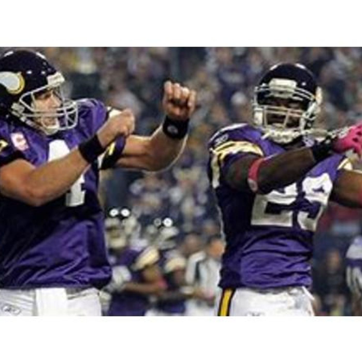 Purple People Eaters: Minnesota Vikings 2009 Rewind!Brett Favre & 2000's Roster! episode artwork