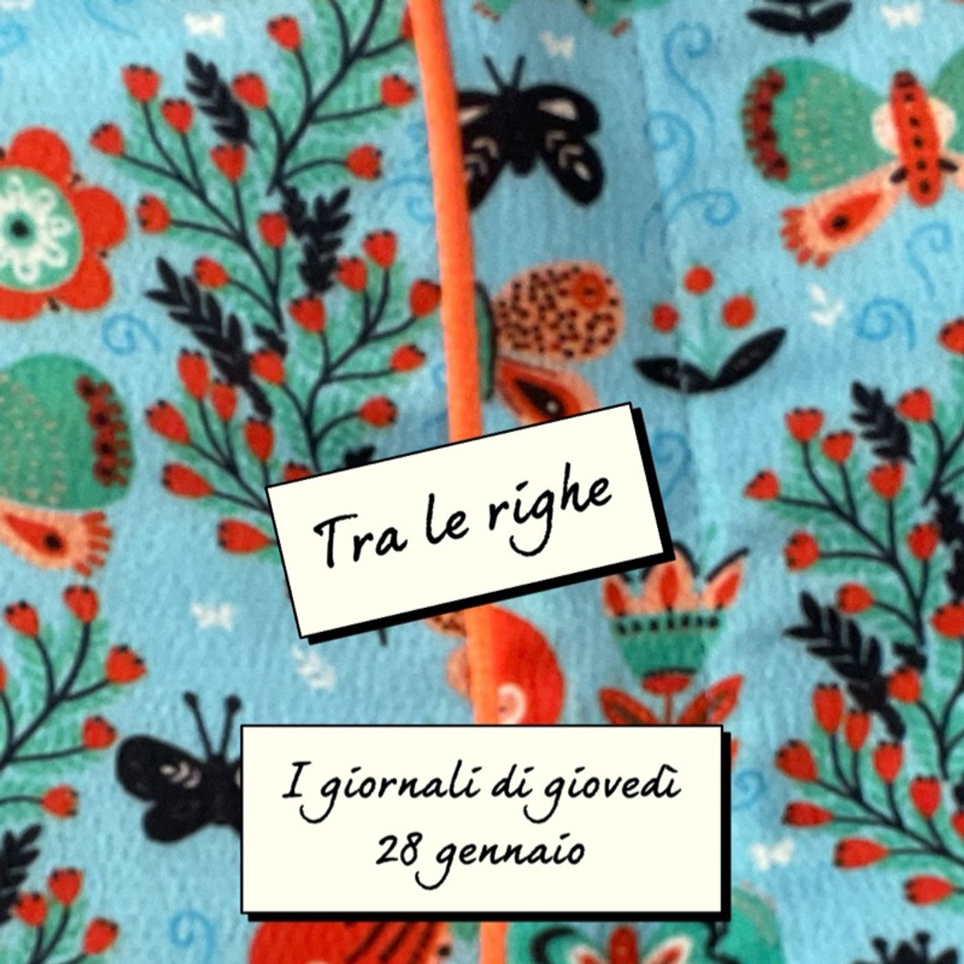 La rassegna stampa di Claudia de Lillo