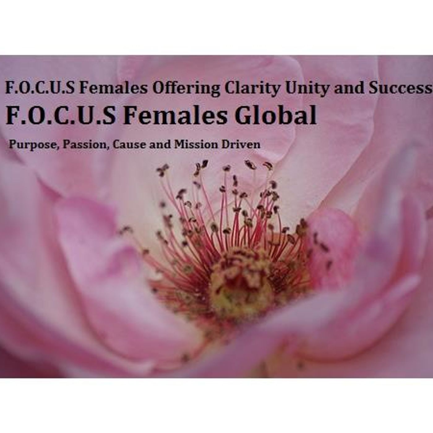 FOCUS Females Global Chat Cafe ( It's Valentines Day and so?)