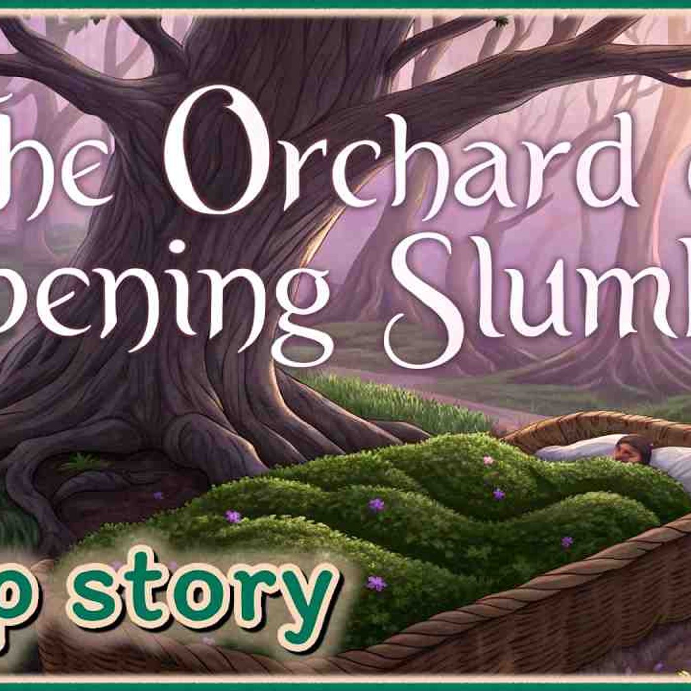 Artwork for Sleep Stories