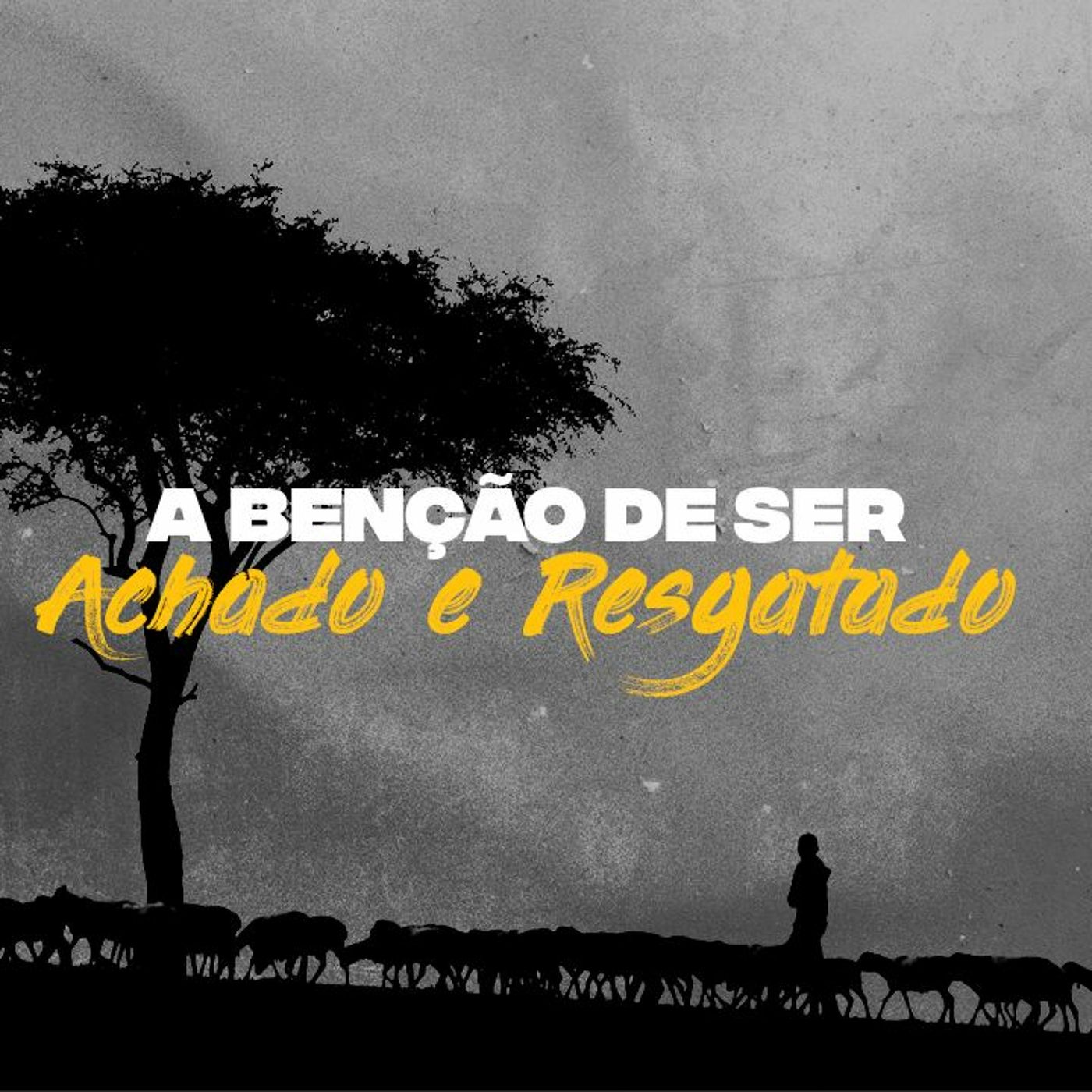 IEVY OFICIAL